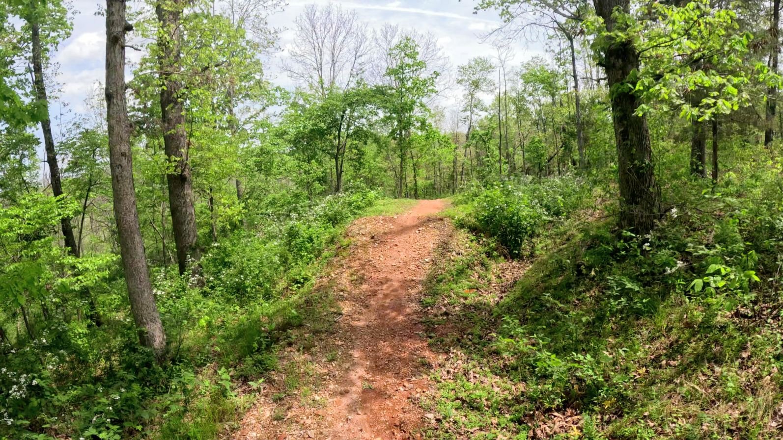 A picture of one of the table tops on Interplanet Janet