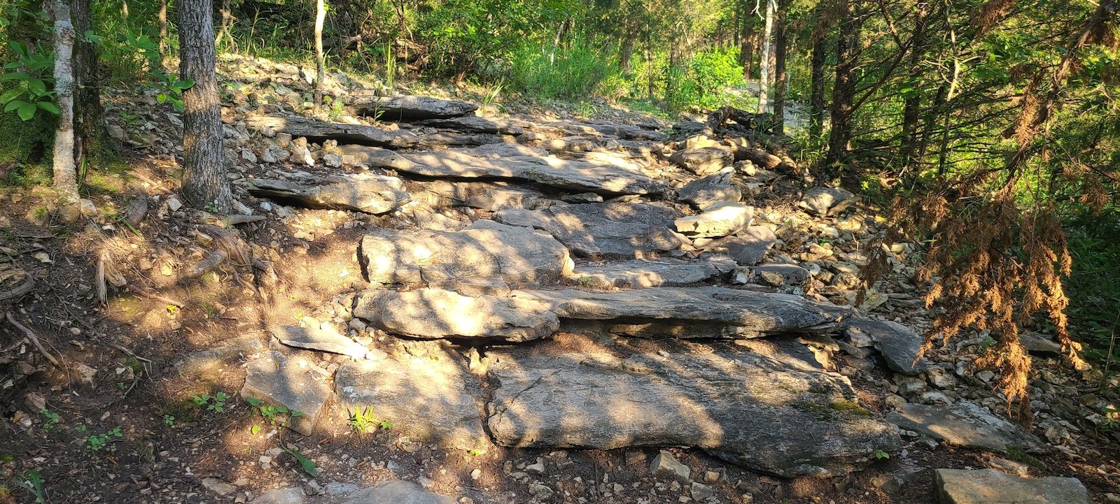 an image of a rock garden found at Coler MTB Preserve