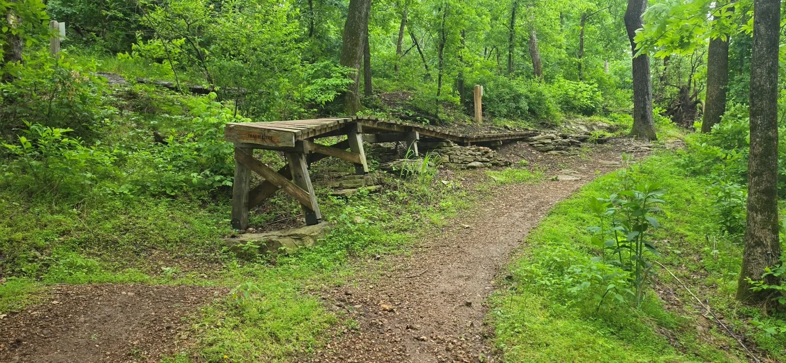 A picture of the dramatic  wooden ramp and the gap drop. There is an alt line next to the ramp for those who do not wish to take the ramp option