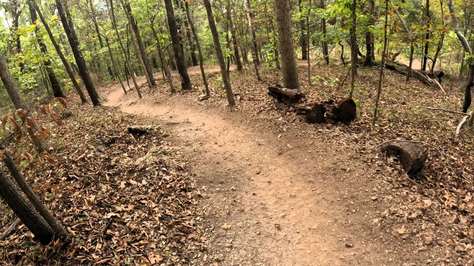 Tatamagouche Singletrack berm