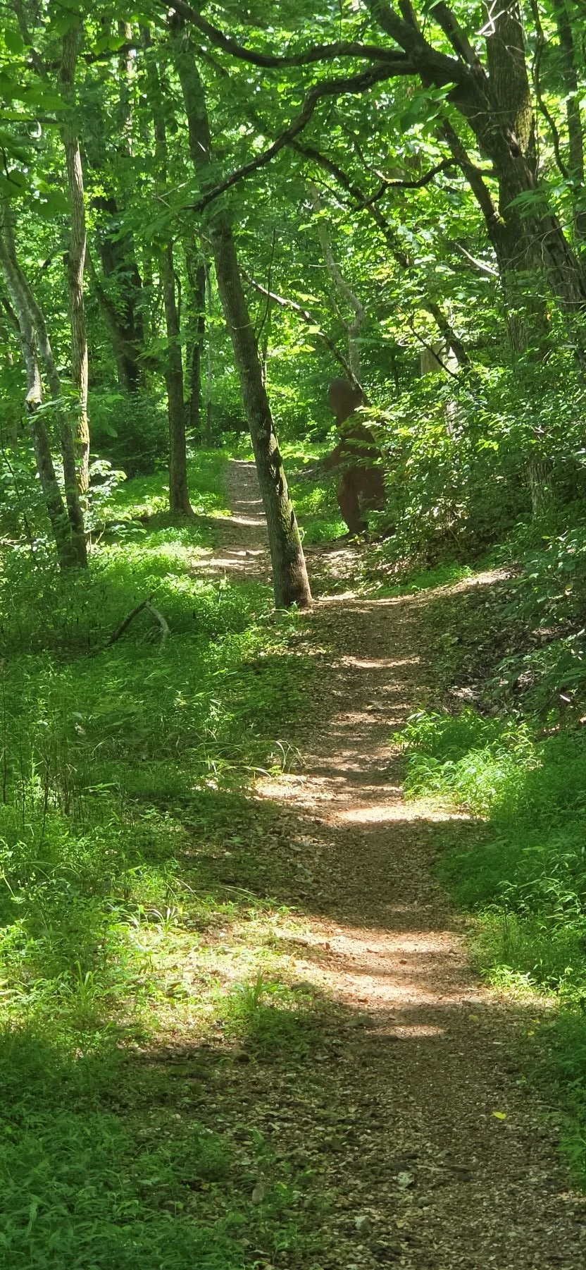 Tweety Bird Singletrack with a sasquatch cutout that sits alongside the trail
