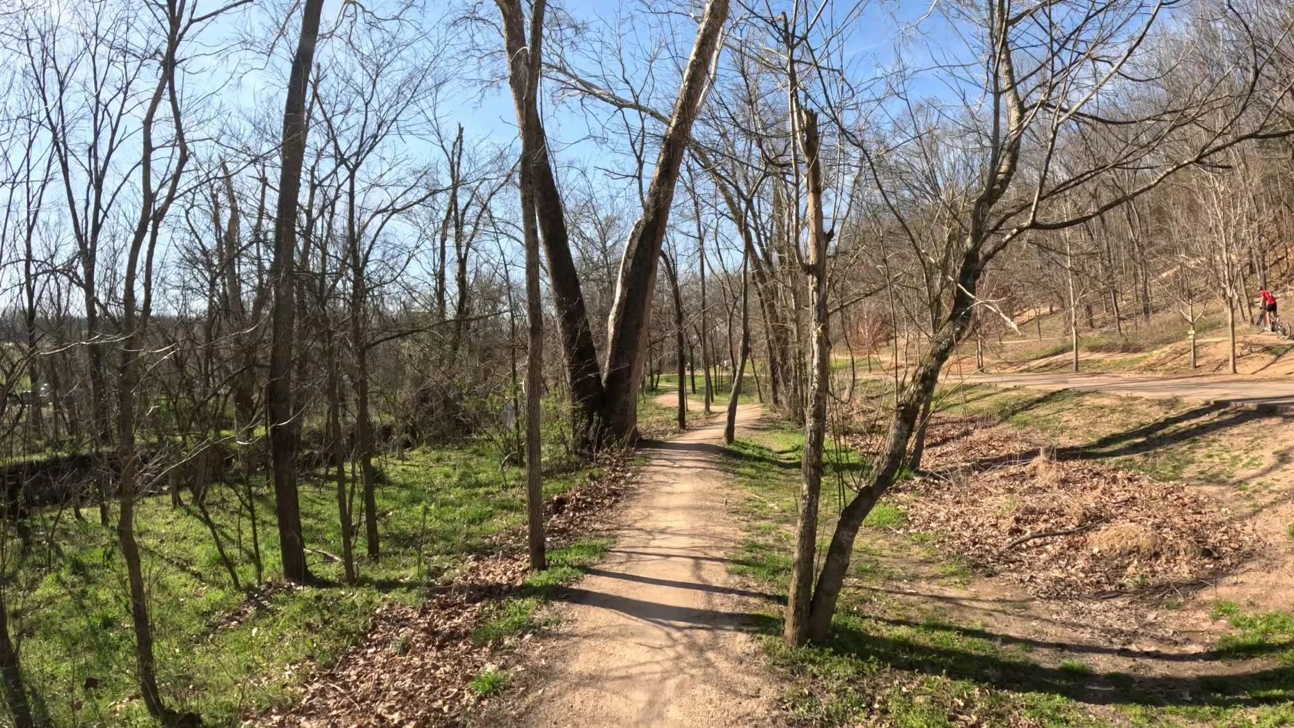 An image of the singletrack as it flows around some of the trees alongside the Razorback Greenway in Slaughter Pen