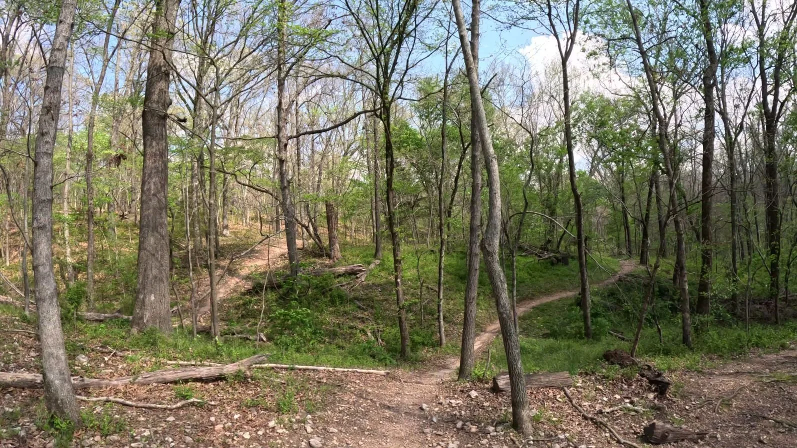 Armadillo's Last stand Singletrack as it runs parallel to Tatamagouche through a small ravine