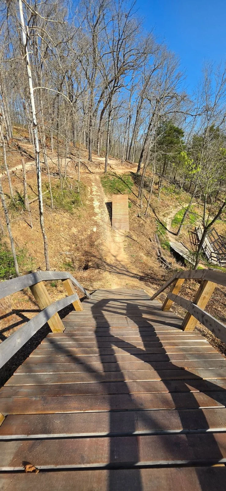 A view down the ramp that takes you into the ravine and onto the take off ramp for Cleared for Takeoff in Coler MTB Preserve
