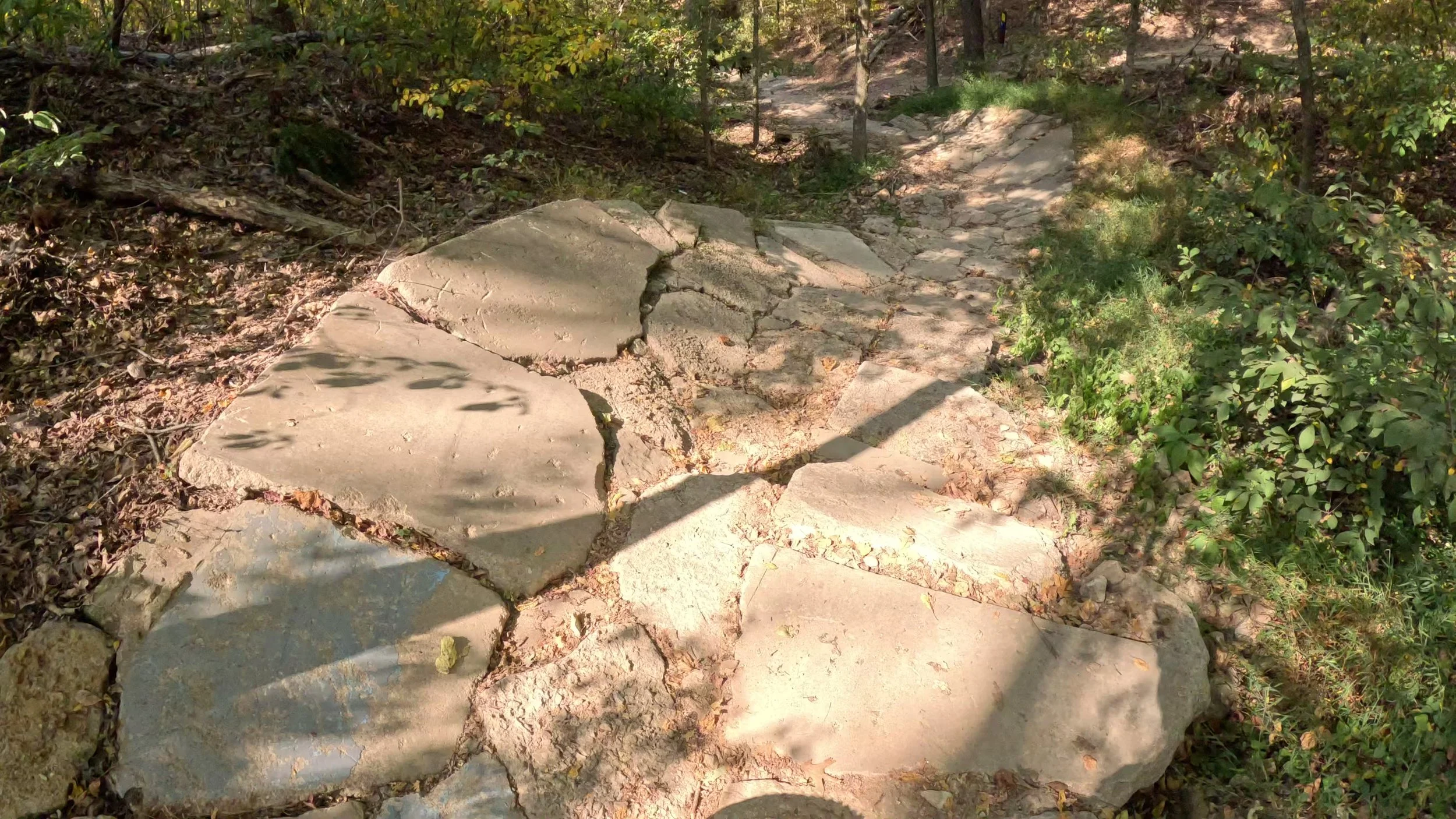 This is the rocky berm section of hard way to cafe near the top by the trailhead in Coler MTB Preserve in Bentonville Arkansas