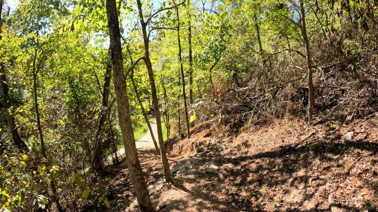 A picture of a steep technical drop on Angus Chute as it drops onto the wooden ramp before the Berm Creek Trailhead