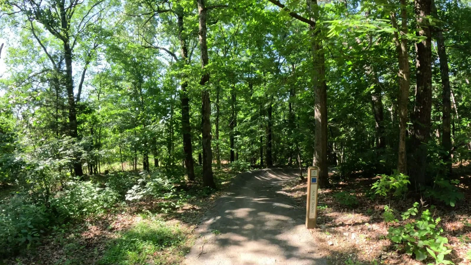 A picture of the Ace of Spades Trailhead before it turns right into the berm section of the trail in Bella Vista's Wonderland Trail System