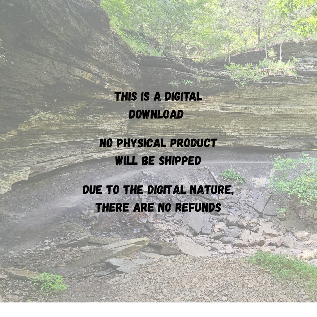 Digital Download Disclaimer-square.png