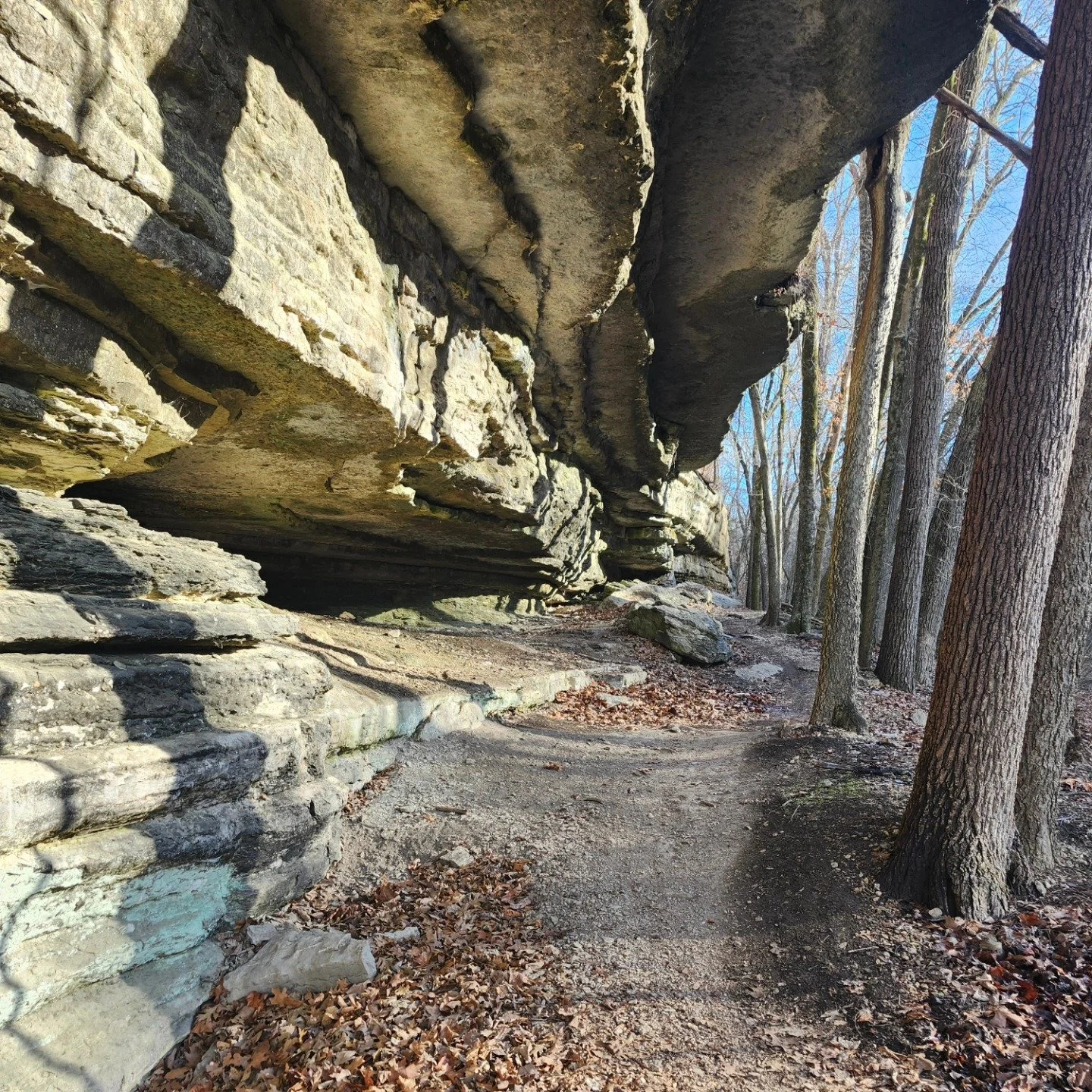A picture of the Back 40 as the trail runs next to cavern like rock formation.