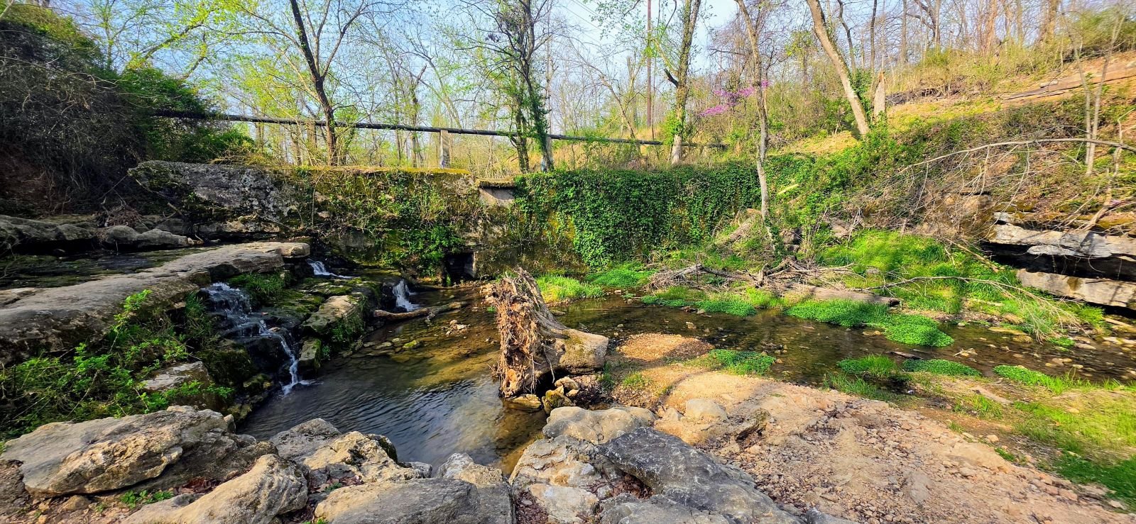 A picture of the small pool of water and the waterfall in Burns Arboretum in Slaughter Pen.