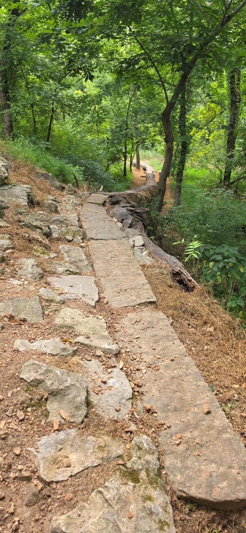 A picture of Rotten to the Core's long skinnie that takes a fallen tree and turned it into an elevated feature that was milled down to provide a narrow flat surface to ride on.