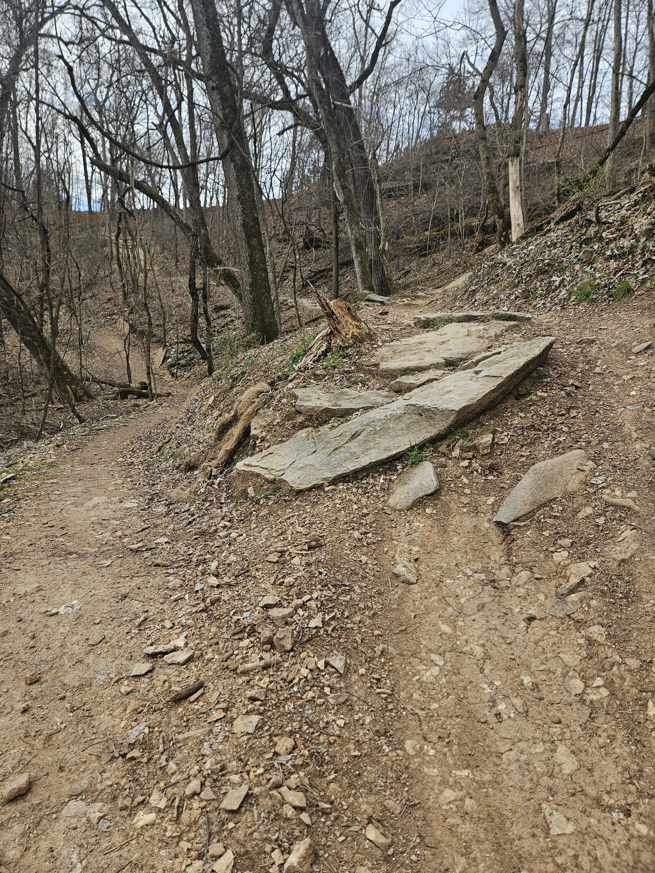 A picture where Rim trail meets Techgnar trails in the Slaughter Pen in Bentonville Arkansas