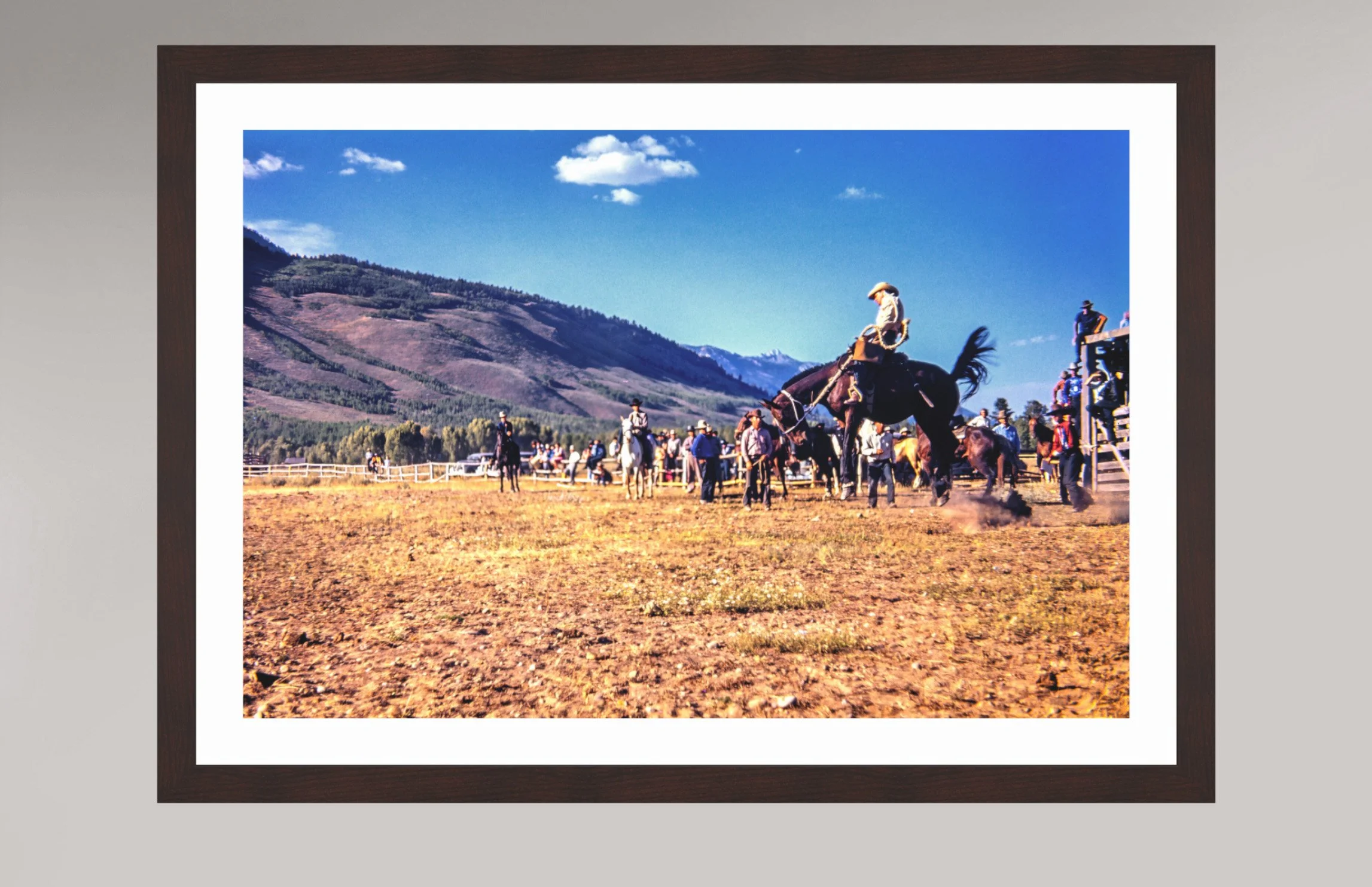 rodeo-1.jpg