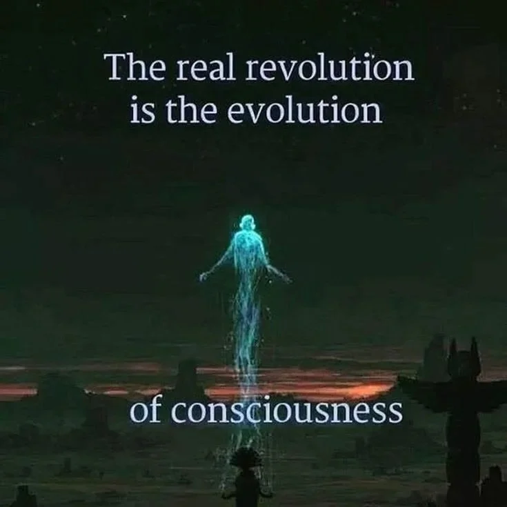 A glowing, translucent figure floating above the ground, with dark silhouettes of trees and a person in the foreground, and the text 'The real revolution is the evolution of consciousness' at the top and bottom of the image.