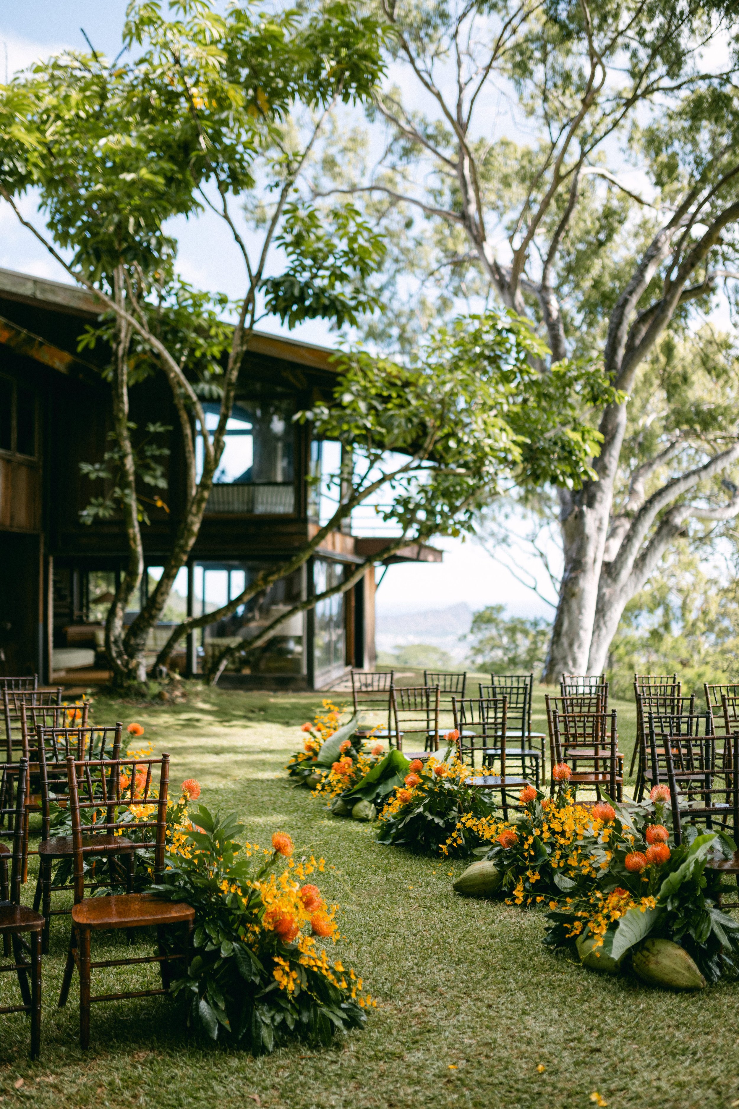 Liljestrand House & Hau Tree