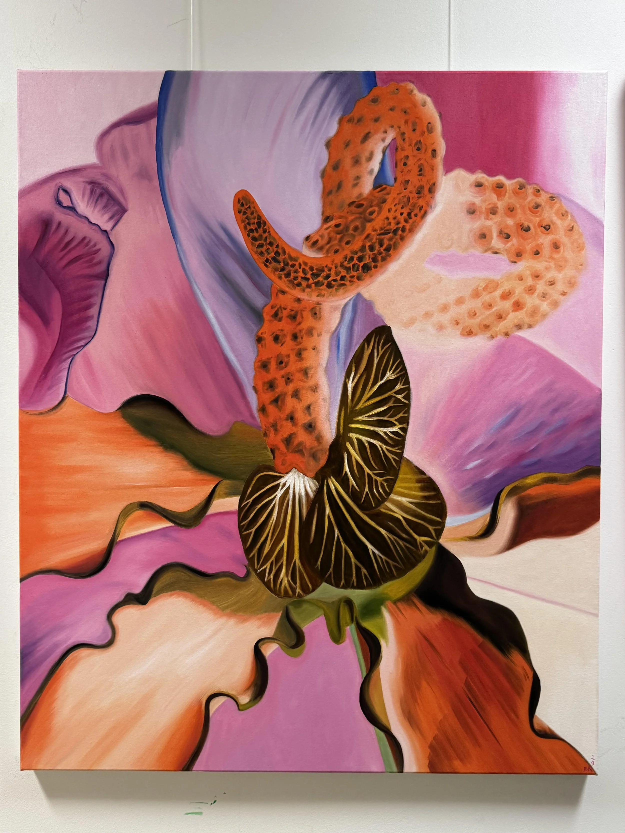 Title: “Anthuripa Inverted pink 3”
Medium: Oil on canvas
Size: 100 x 120cm Year: 2024
Price: €5000