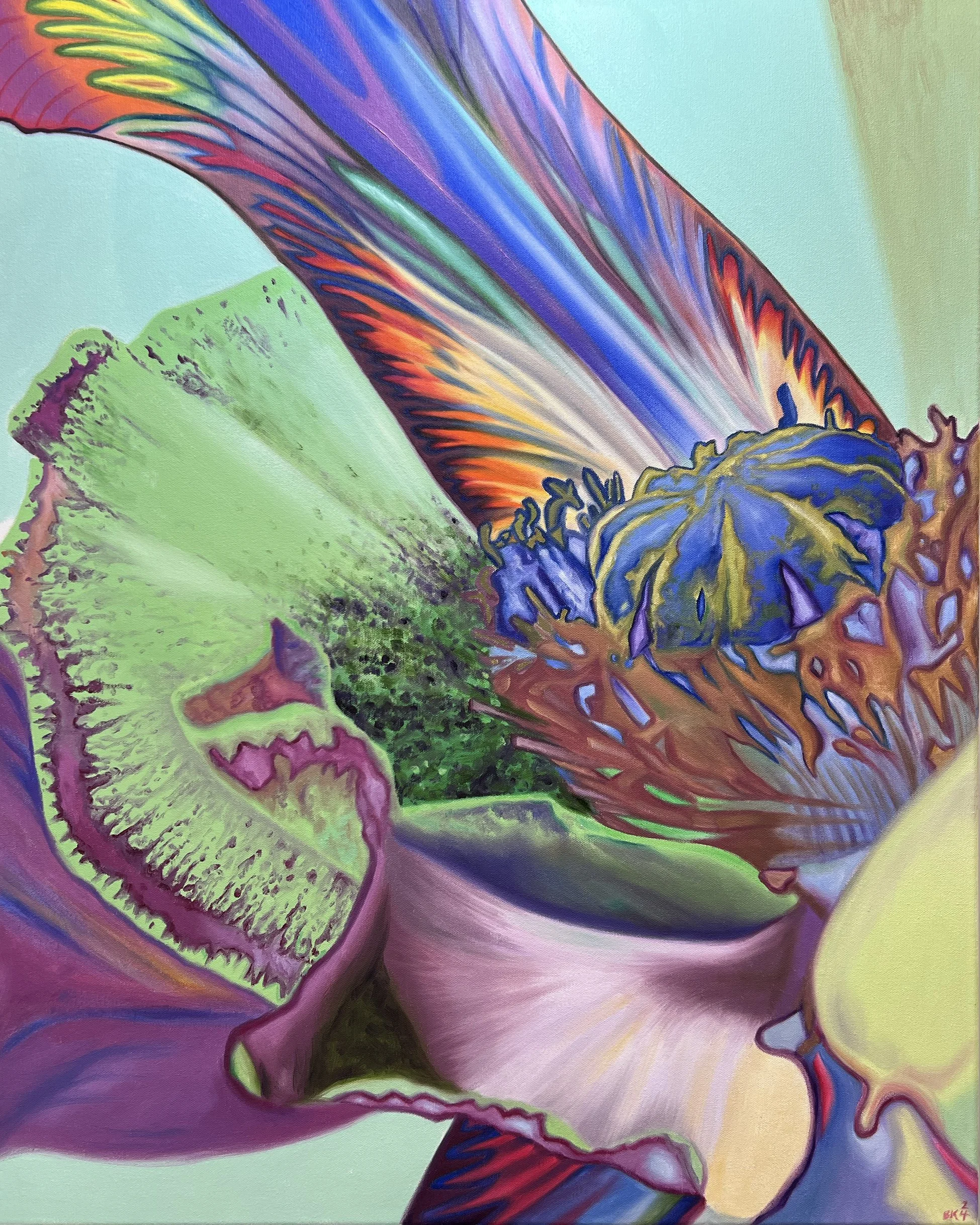 Lathyris Inverted green
Sold