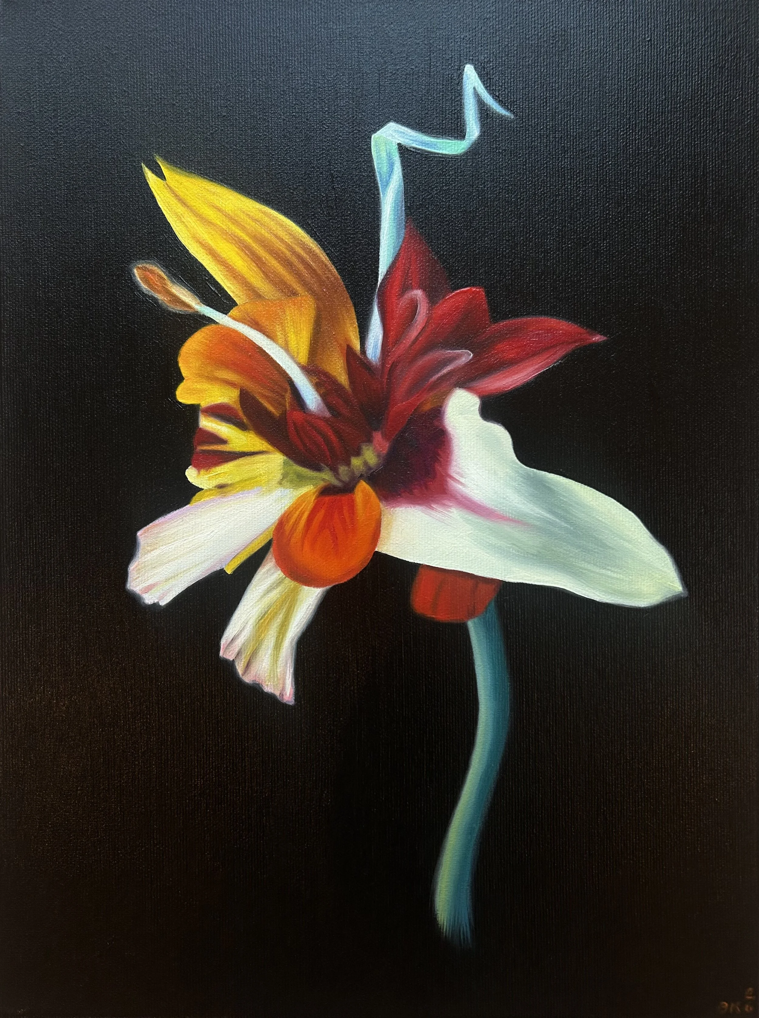 Title: Linnius luteus 

Medium: oil on canvas 

Size: 30 x 40cm 

Year: 2026 