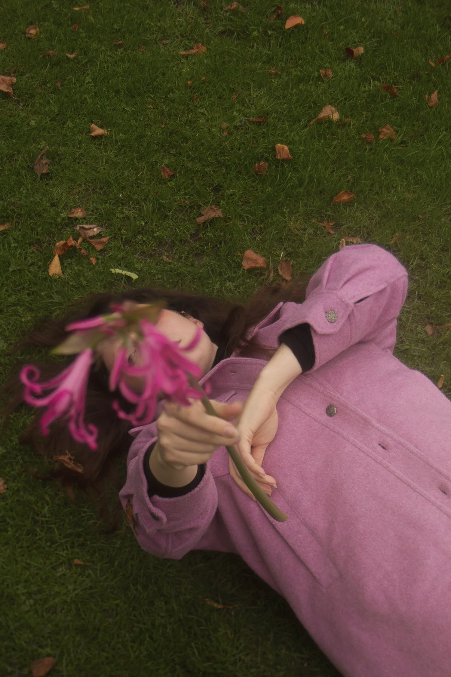A woman lying on grass holding a pink flower towards the camera, with autumn leaves scattered on the grass.