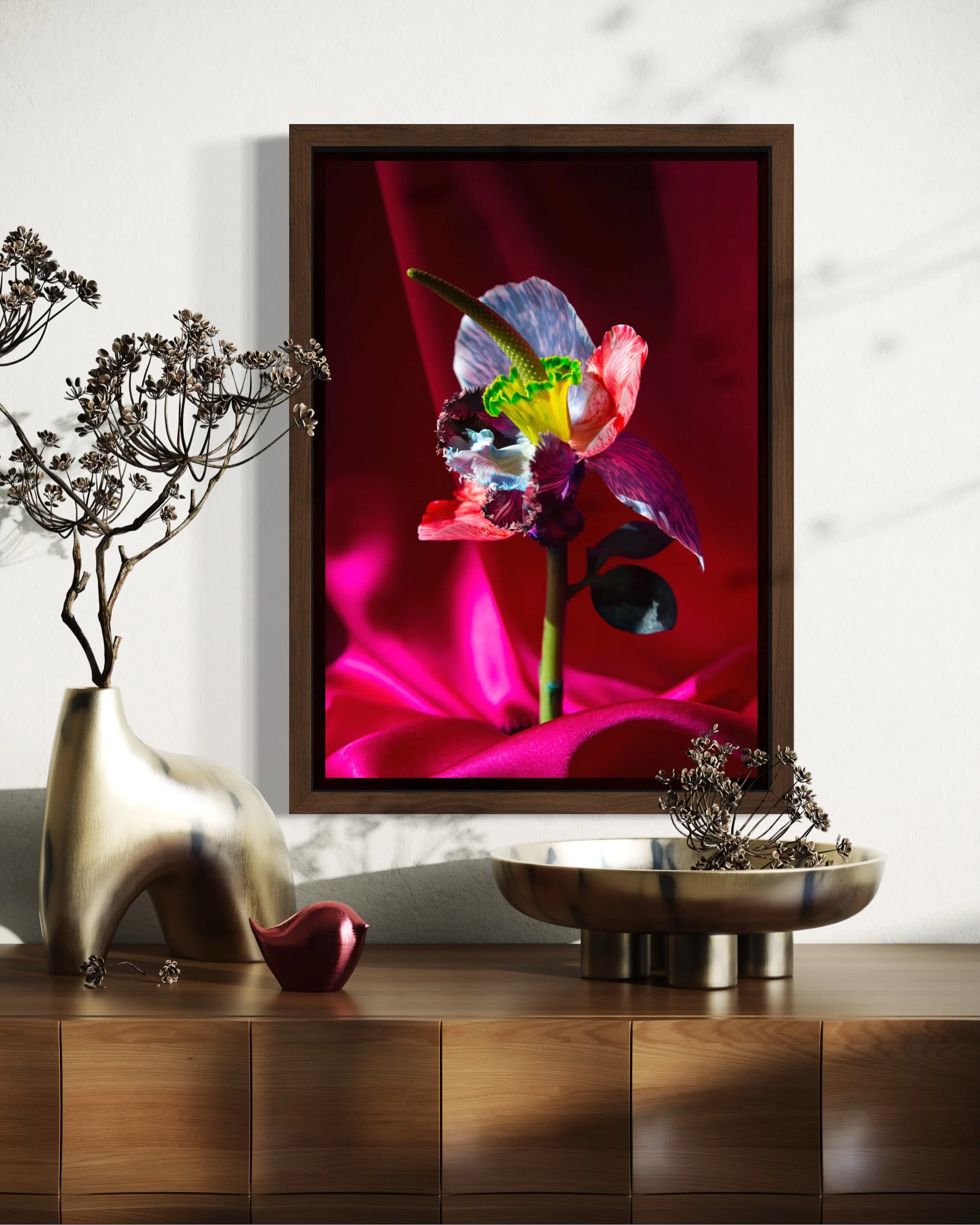 Paeonissus luminosus