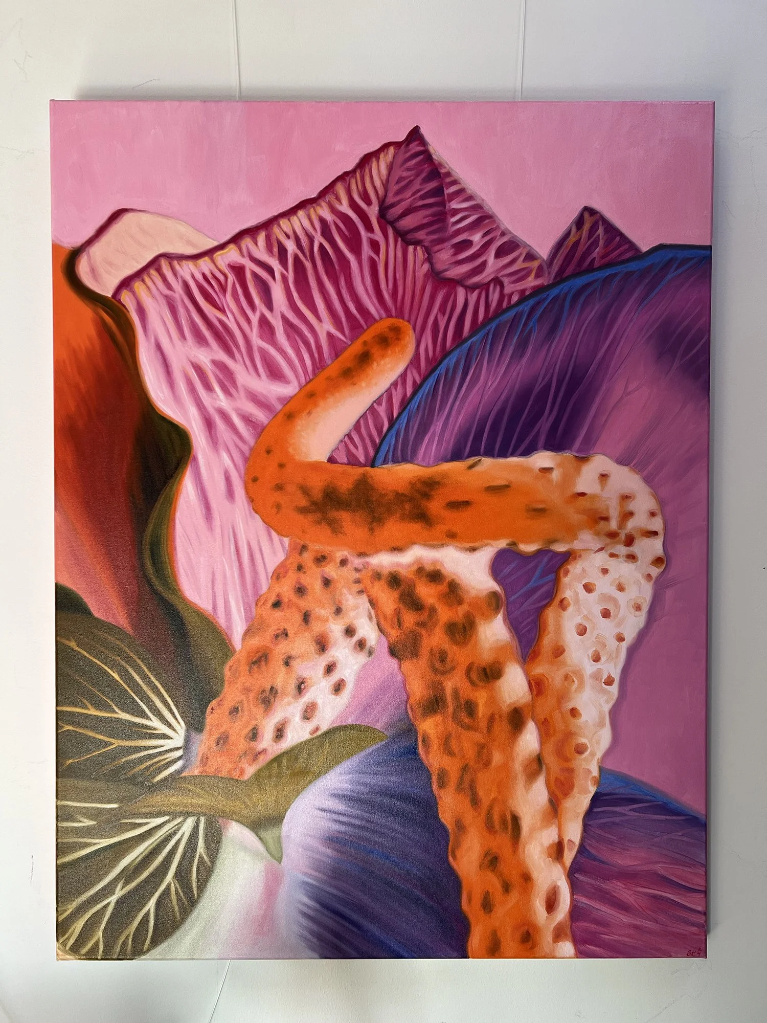 Title: “Anthuripa Inverted pink 1”
Medium: Oil on canvas
Size: 89 x 116cm Year: 2024
Price: €4500