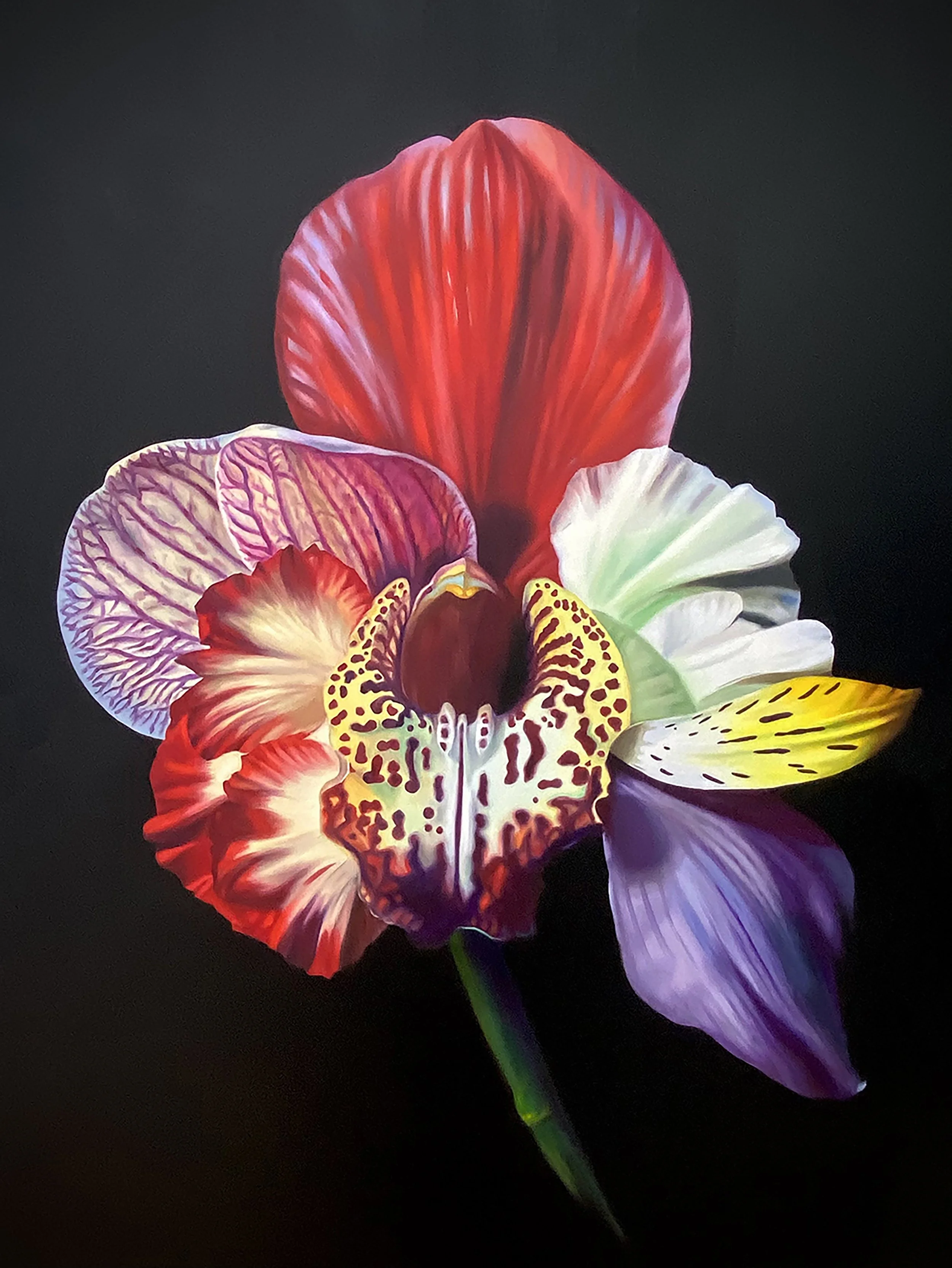 Title: “Orchidanthus nobelius, Hybrid No. 50”
Medium: Oil on canvas
Size: 100 x 120cm 
Year: 2021
Price: €4800

* This hybrid was made from leftover flowers from the Nobel ceremony dinner in Stockholm, 2019