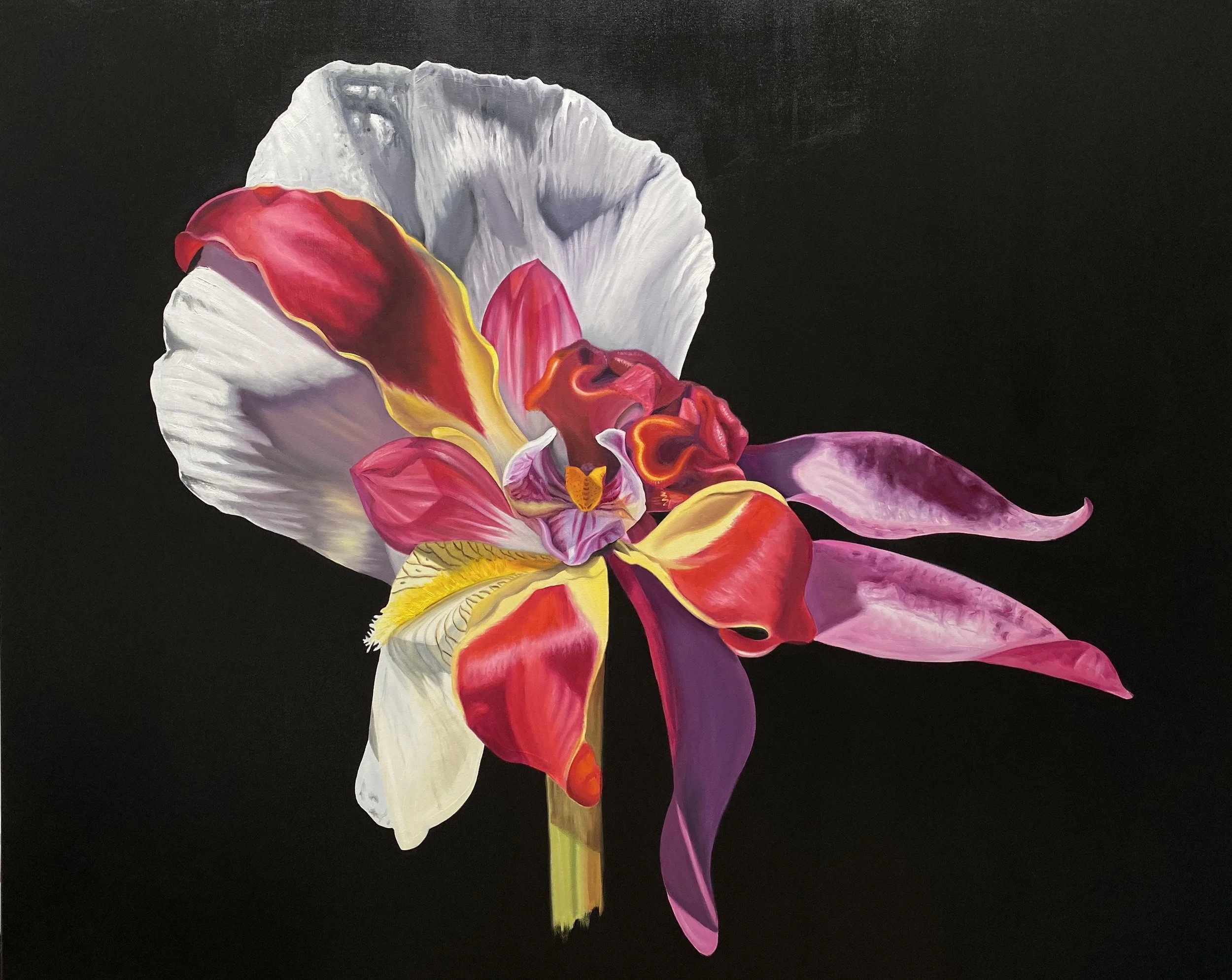 Magnelosia vicina, Hybrid No. 43
Sold