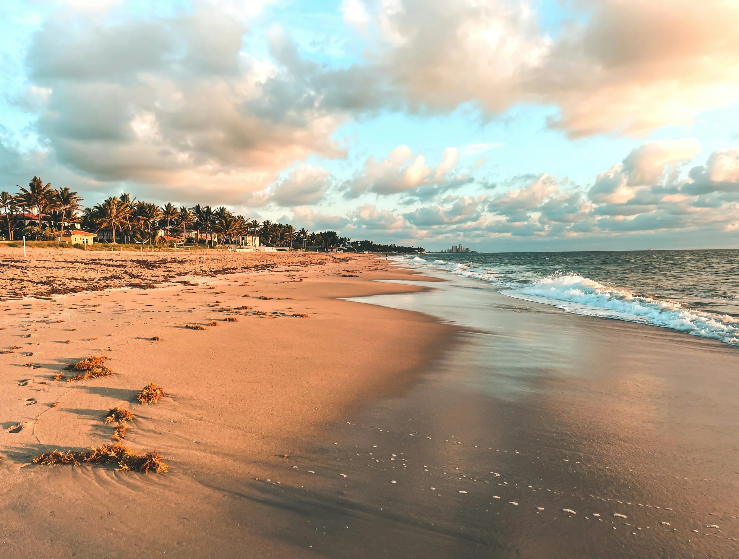 Empty sandy beach with footprints and seaweed, palm trees, houses, and a few buildings in the background, under cloudy sky at sunset or sunrise.