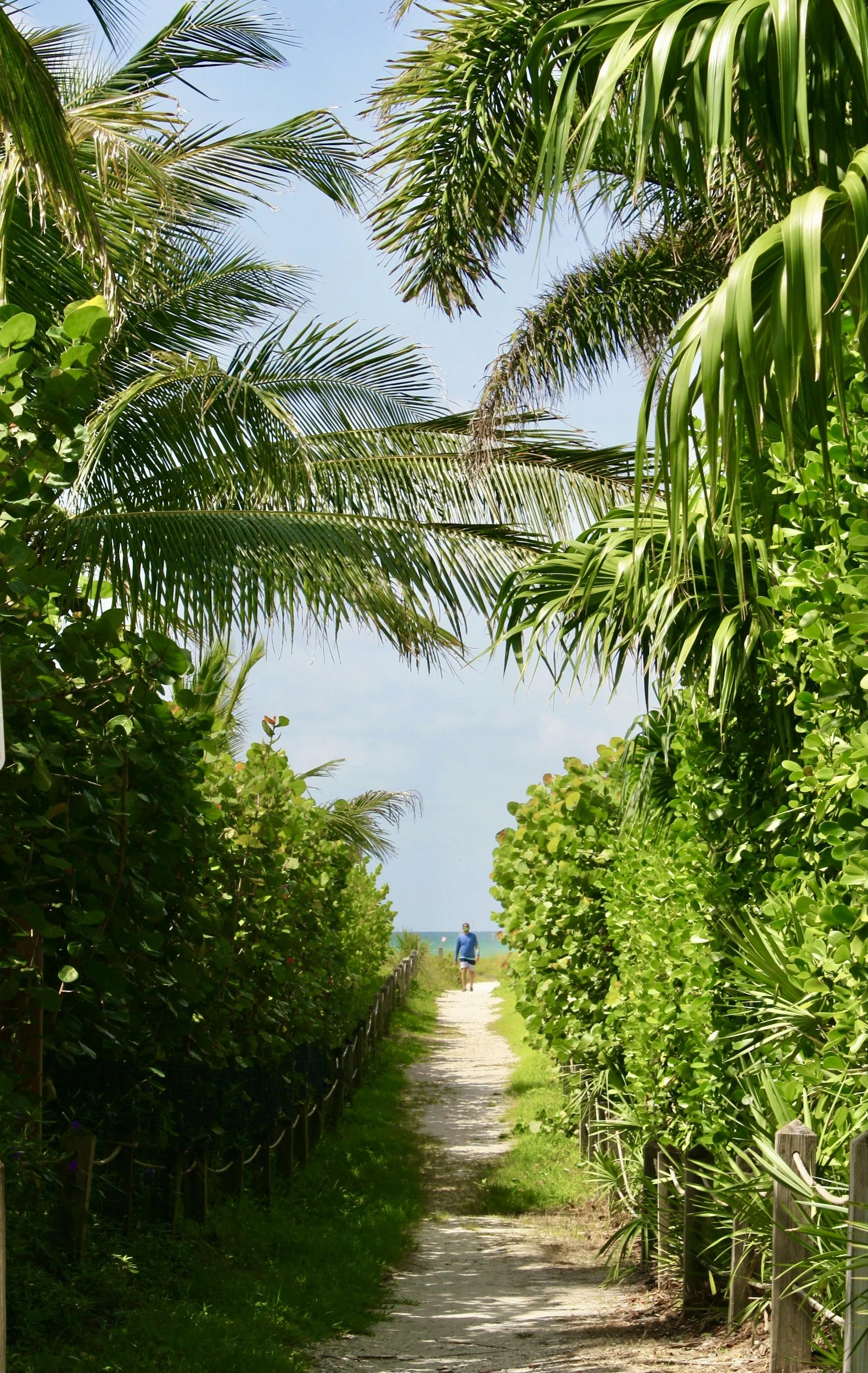 A pathway lined with dense lush green tropical bushes and palm trees leading to a beach with a person in blue walking towards the ocean in the distance under a partly cloudy sky.