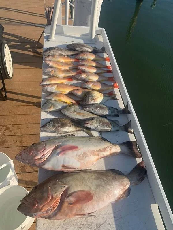 Several fish laid out on a white table on a boat docked at a pier, with water visible on the right.