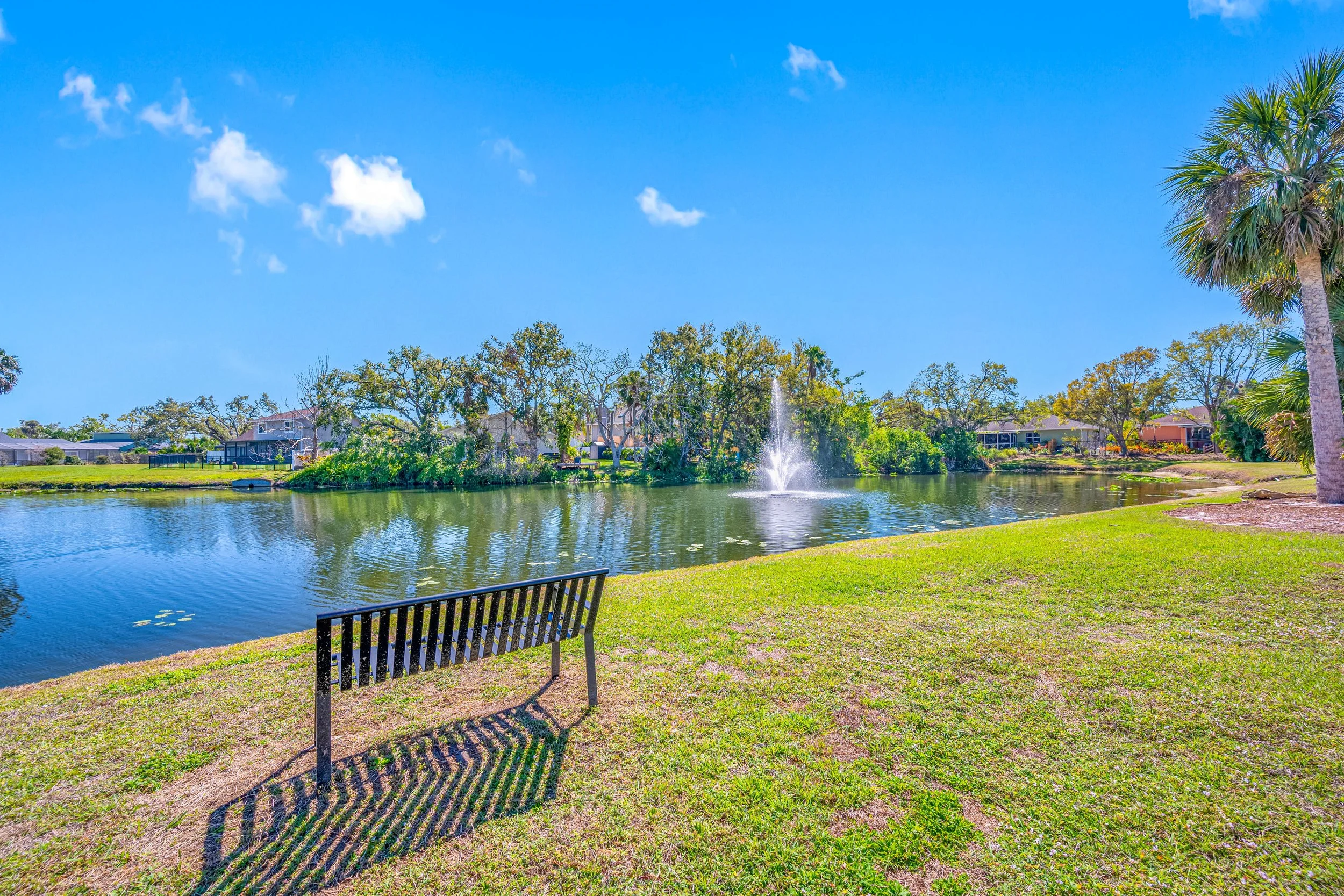 A park with a pond, fountain, green grass, trees, and houses in the background under a blue sky.
