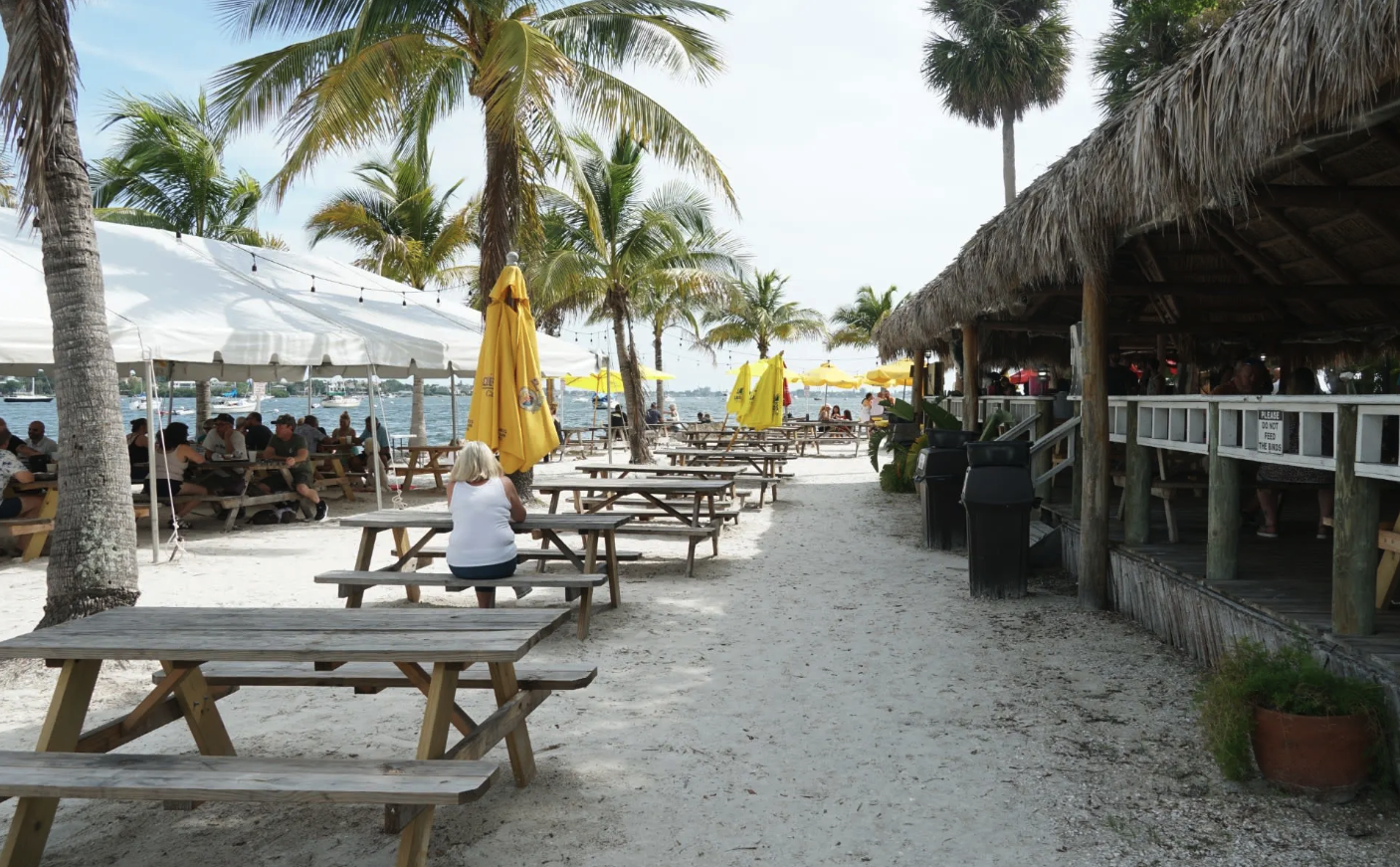 Beachside restaurant with wooden picnic tables and palm trees, some under white umbrellas and yellow umbrellas, with people sitting and enjoying the seaside view.