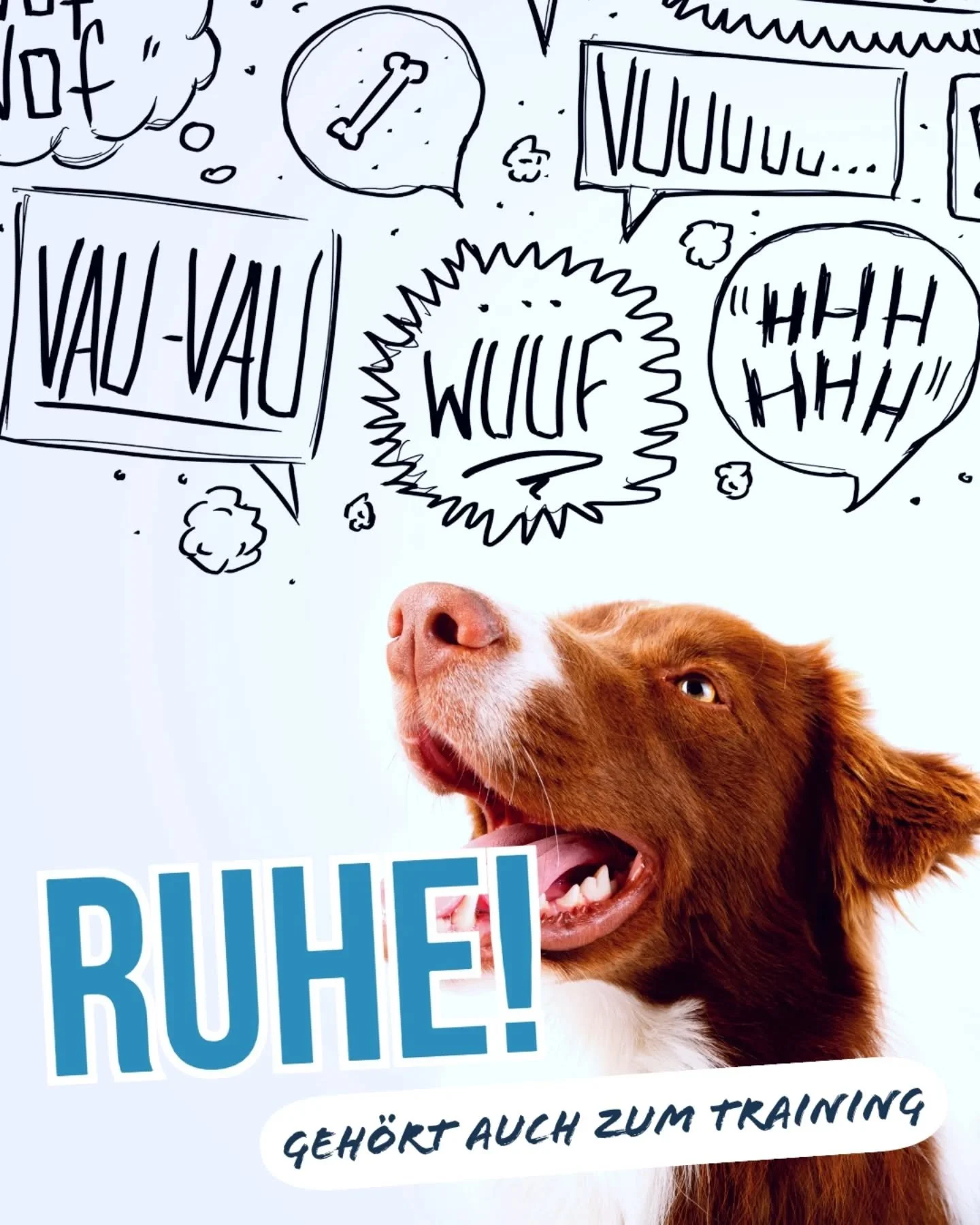 Ruhe muss man lernen. 💤
​Wir trainieren Sitz, Platz und den perfekten R&uuml;ckruf. Aber trainieren wir auch das Nichtstun?
​Viele Hunde stehen unter Dauerstrom, weil wir glauben, sie st&auml;ndig besch&auml;ftigen zu m&uuml;ssen. Doch wahre Ausgegl