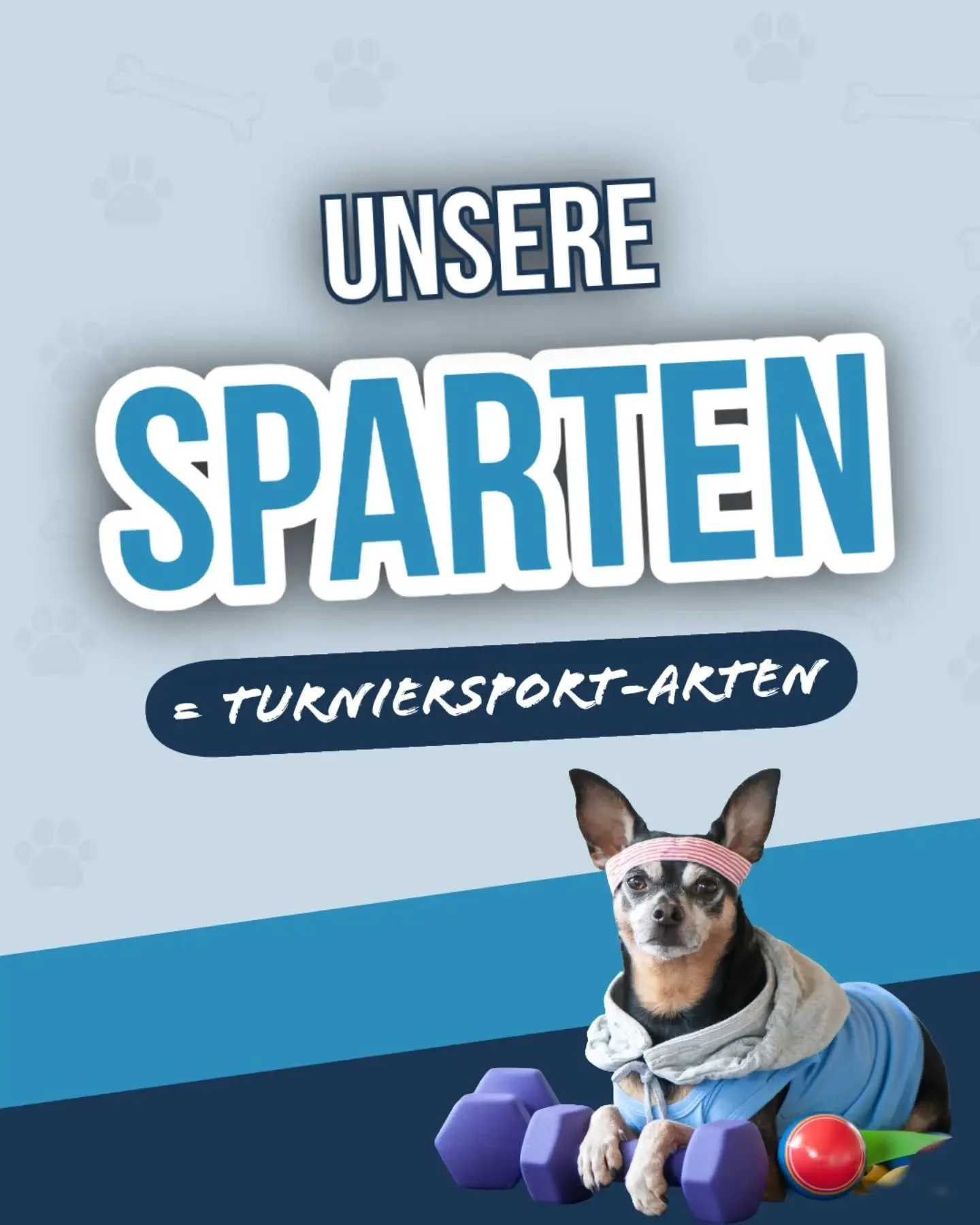 Kennst du schon alle Sportarten, die wir in unserem Verein anbieten?
Mehr Infos findest du auf unserer Webseite☺️ Link in der Bio
🐾
#Hundesport #hundesportverein #canifit #freising #ınstadog
