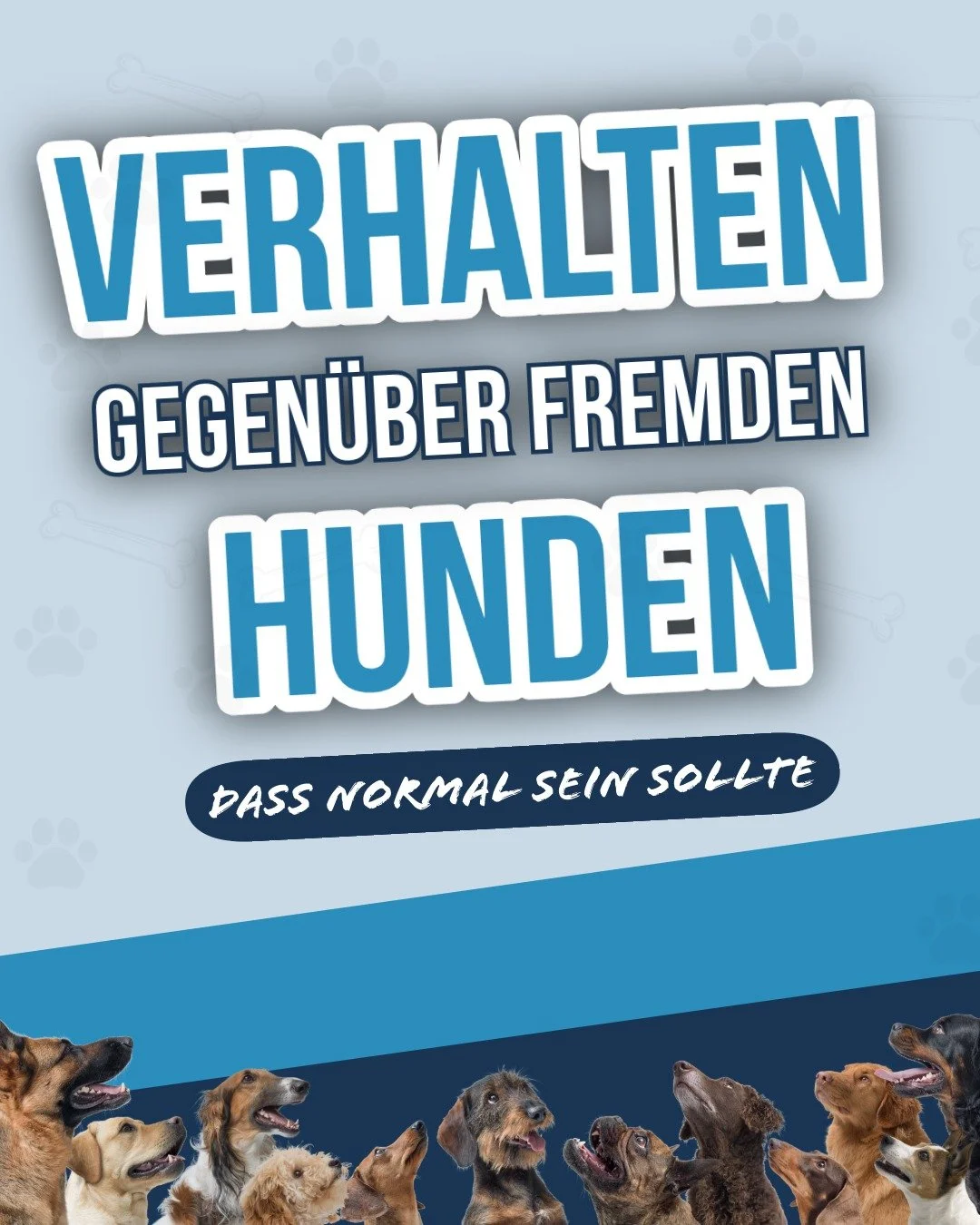 Was ist deine Erfahrung dazu?
Kennst du noch weitere no gos oder gos?
🐾
#hundeerziehung #hundeerfahrung #hundeknigge #hundeliebe #r&uuml;cksichtnehmen #hundeschule #hundeverein #canifit #freising