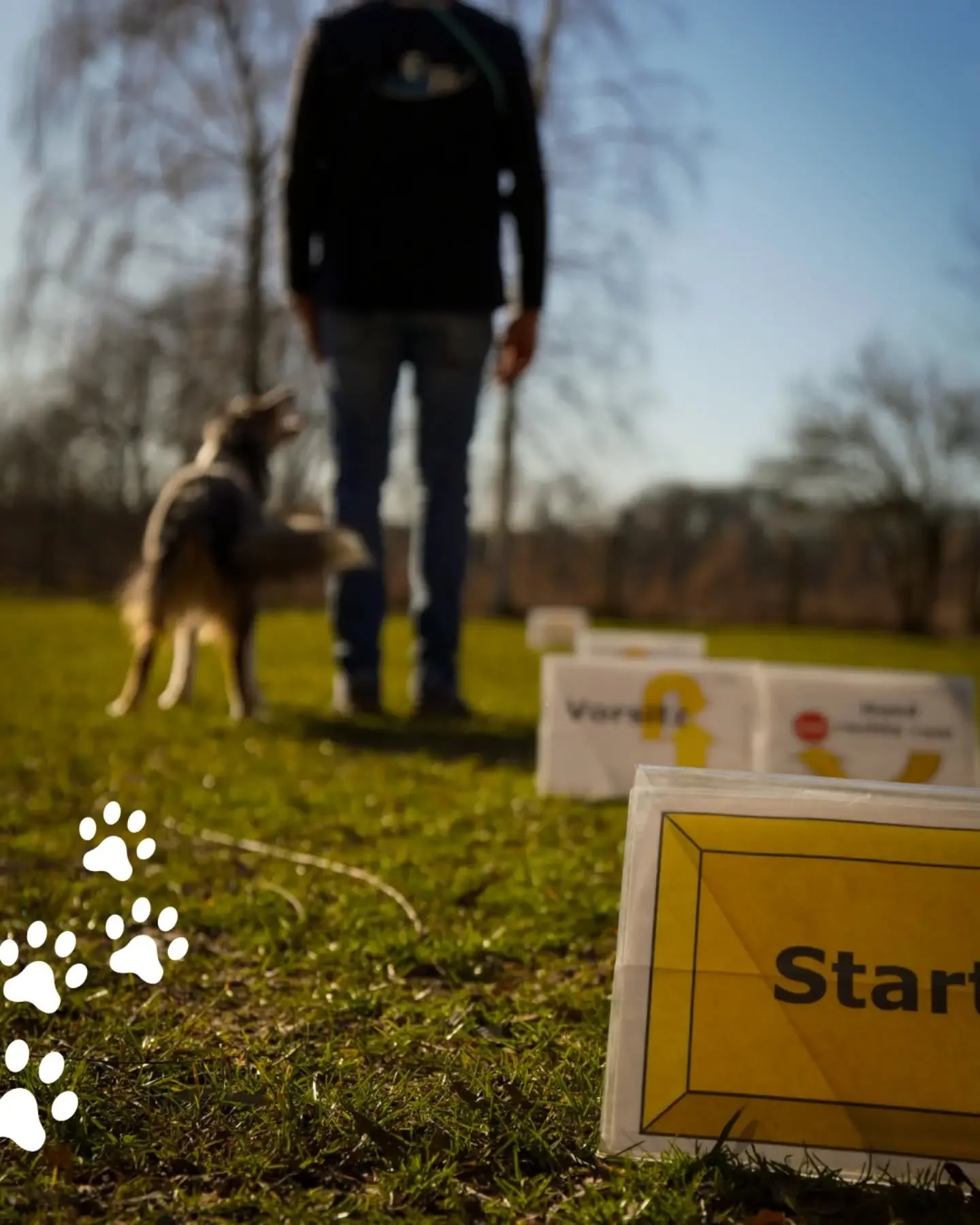 Rally Obedience ist so viel mehr als nur &bdquo;Sitz&ldquo; und &bdquo;Platz&ldquo;. Es ist ein st&auml;ndiger Dialog zwischen Mensch und Hund. Das Beste daran? Man darf (und soll!) w&auml;hrend des Parcours mit seinem Hund reden, ihn motivieren und 