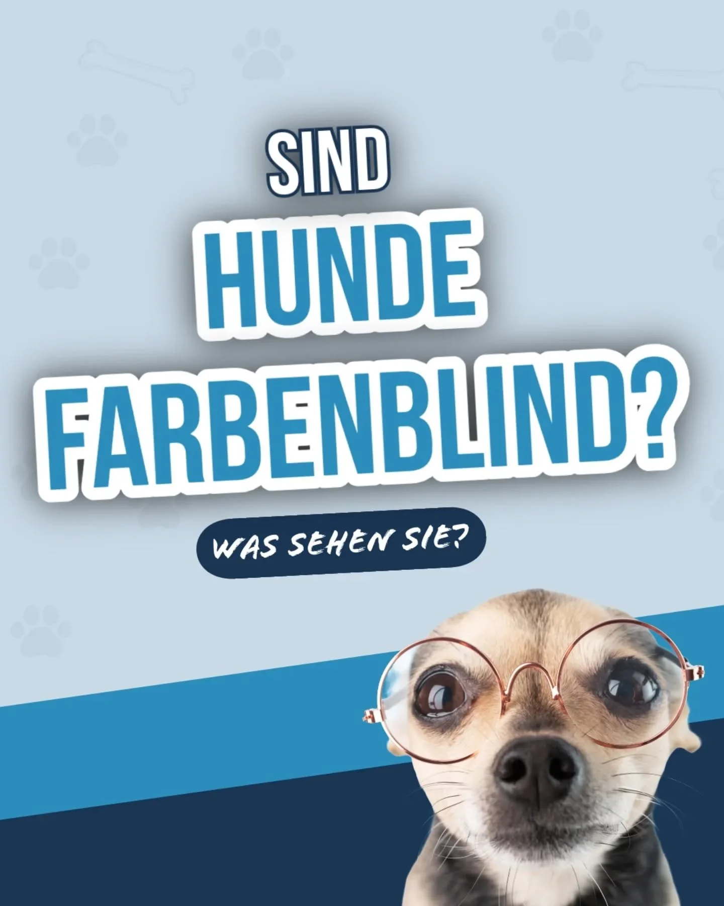 Das Hunde nur in Graut&ouml;nen sehen ist l&auml;ngst wiederlegt, doch die Art wie sie unsere Welt sehen, geht &uuml;ber eine, uns Menschen bekannte, rot-gr&uuml;n-Schw&auml;che hinaus.
🐾
#hundewissen #hundeaugen #hundehalter #hundeschule #hundevere