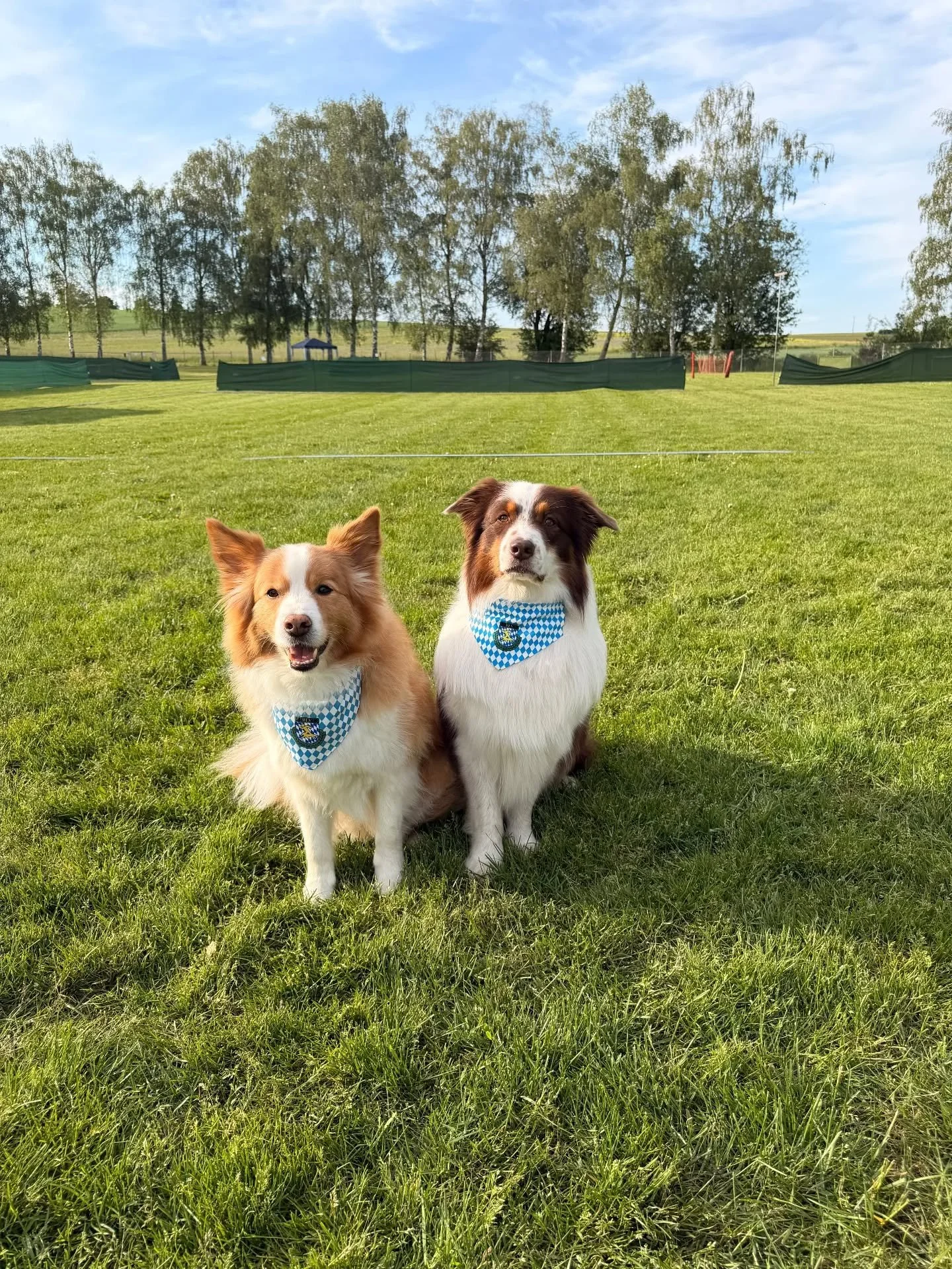 Wir w&uuml;nschen allen Teilnehmern der bayrischen Meisterschaft heute viel Erfolg und vor allem Spa&szlig; 🥳🍀
🐾
#RallyObedience #bayrischemeisterschaft #hundesport #hundeverein #ro