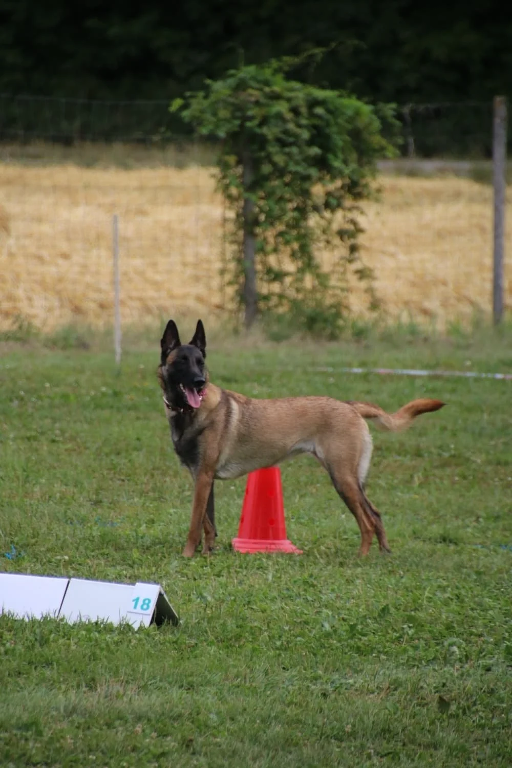 30503509-2143-4ddf-bc2a-946b41efebc2.JPG