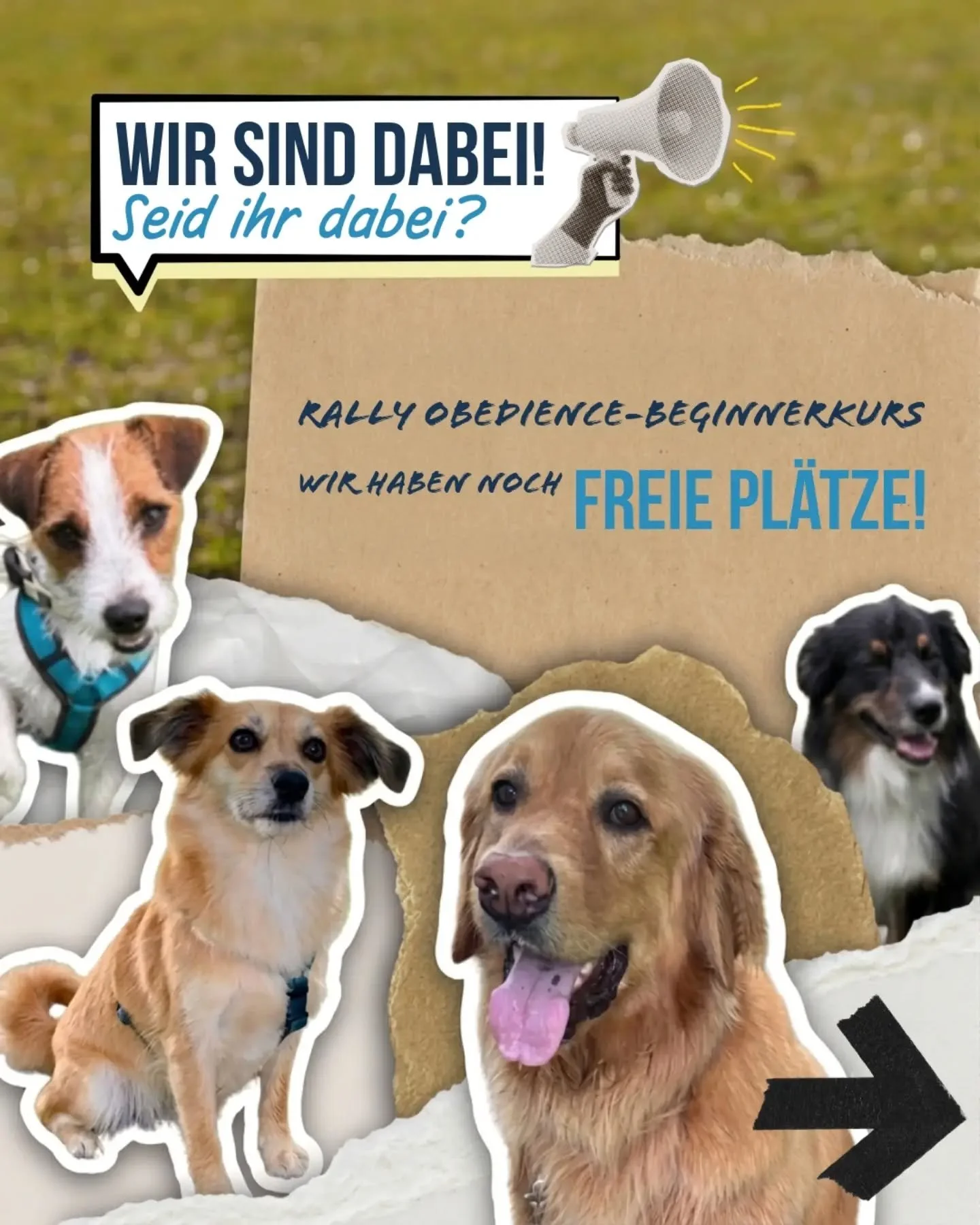 Gemeinsam durch den Schilder-Dschungel: Unser neuer Rally Obedience Beginnerkurs startet! 🚦🐾
​Lust auf eine Hundesportart, bei der Kommunikation, Teamwork und Spa&szlig; an erster Stelle stehen? Im Rally Obedience meistert ihr als Mensch-Hund-Team 