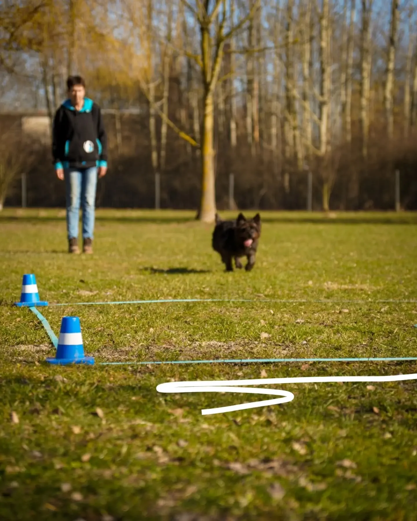 Vollgas nach vorne &ndash; und im richtigen Moment die Vollbremsung! 🎯💨
​Die Box im Obedience ist eine dieser &Uuml;bungen, die von au&szlig;en simpel aussieht, im Detail aber millimetergenaue Pr&auml;zision erfordert.
​Der Hund muss Tempo machen, 
