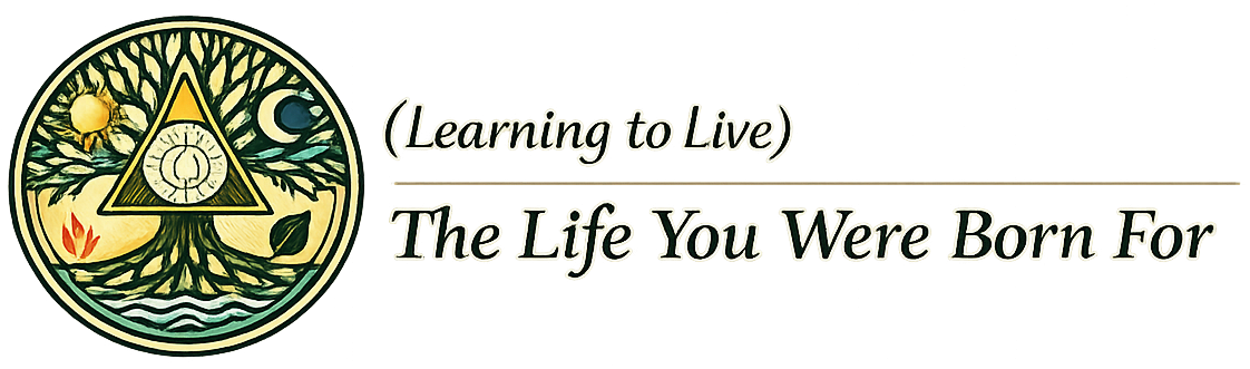 The Life You Were Born For