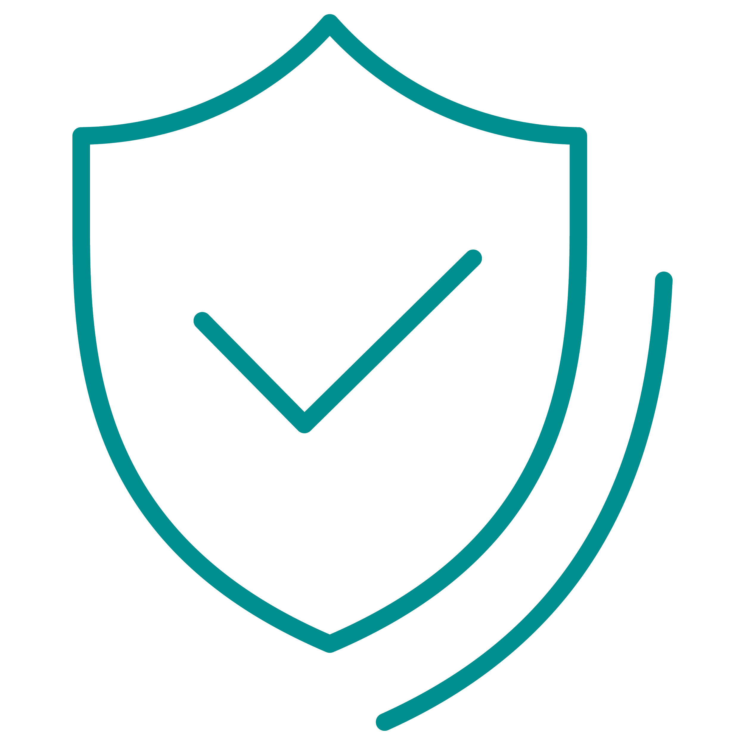 Icon of a shield with a checkmark