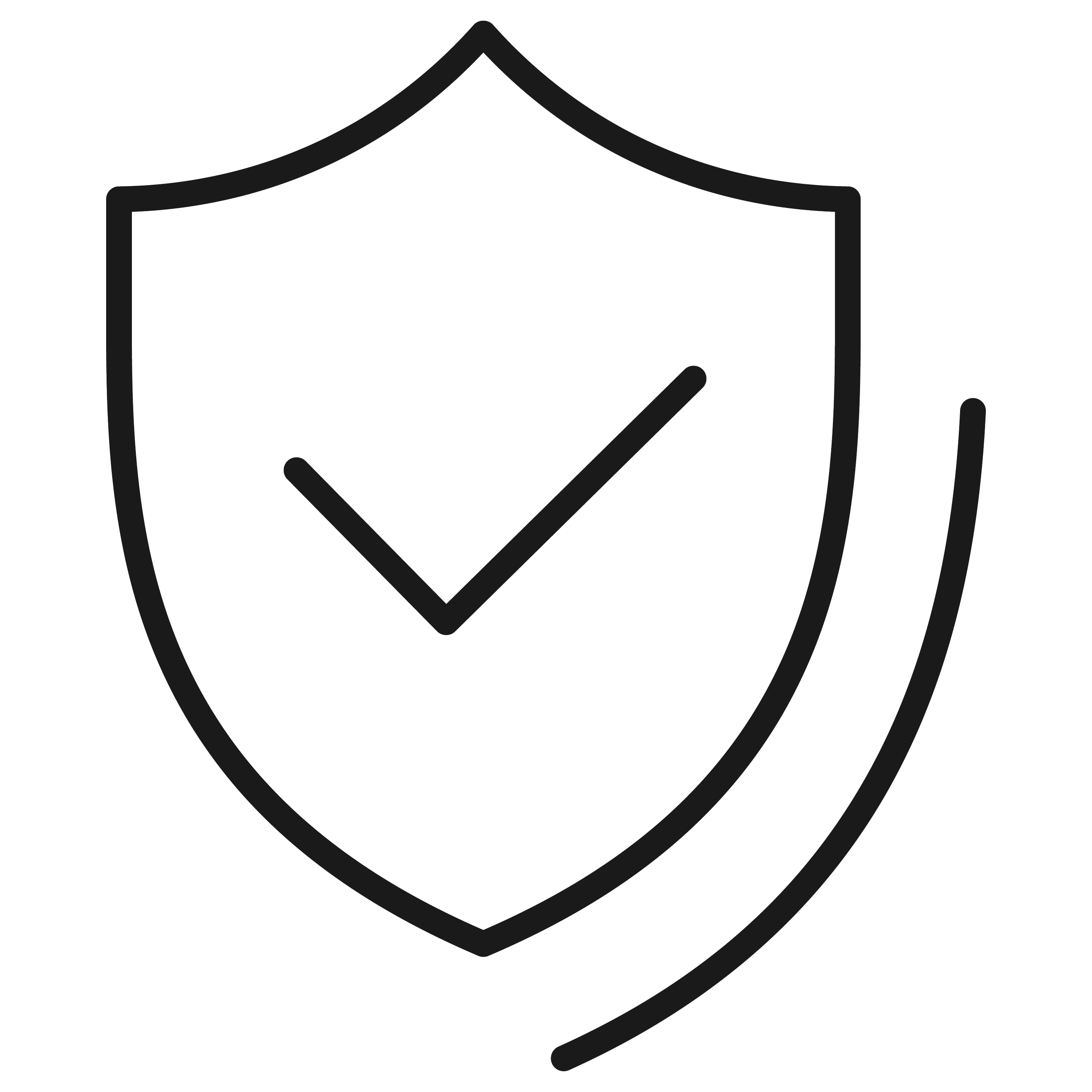 Shield icon