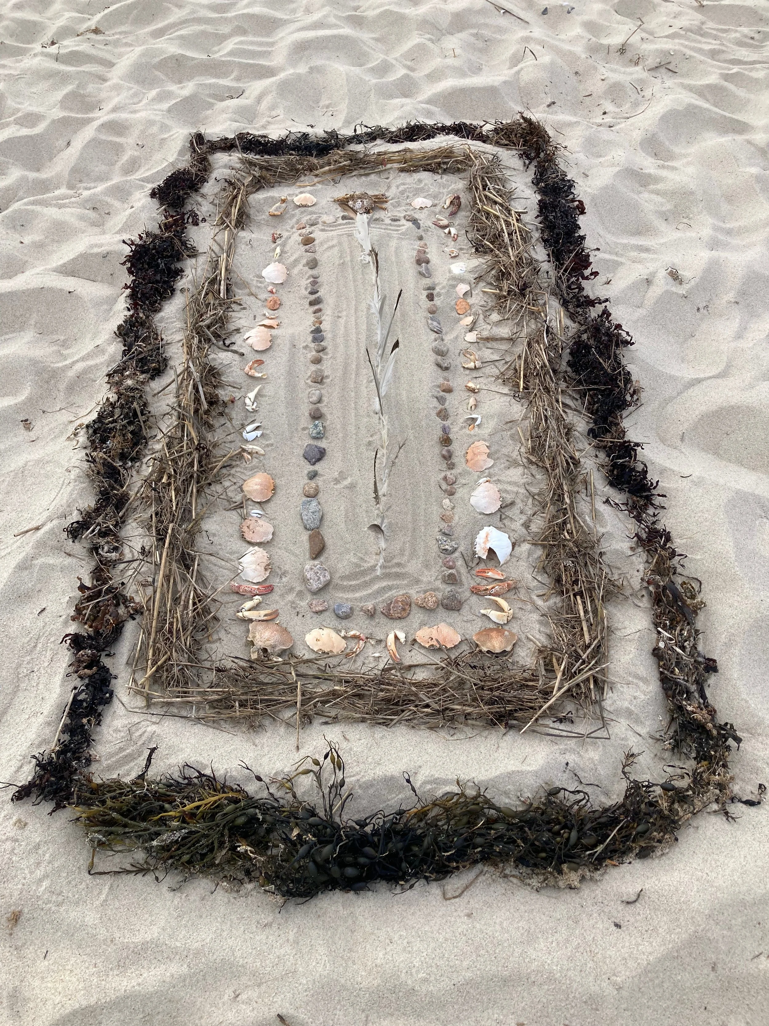 Arrangement of seashells, stones, and seaweed on the sand, forming a decorative rectangular pattern. (Created by O.E. Zelmanovich. Zoe Zelmanovich. Zoe Mizuho)