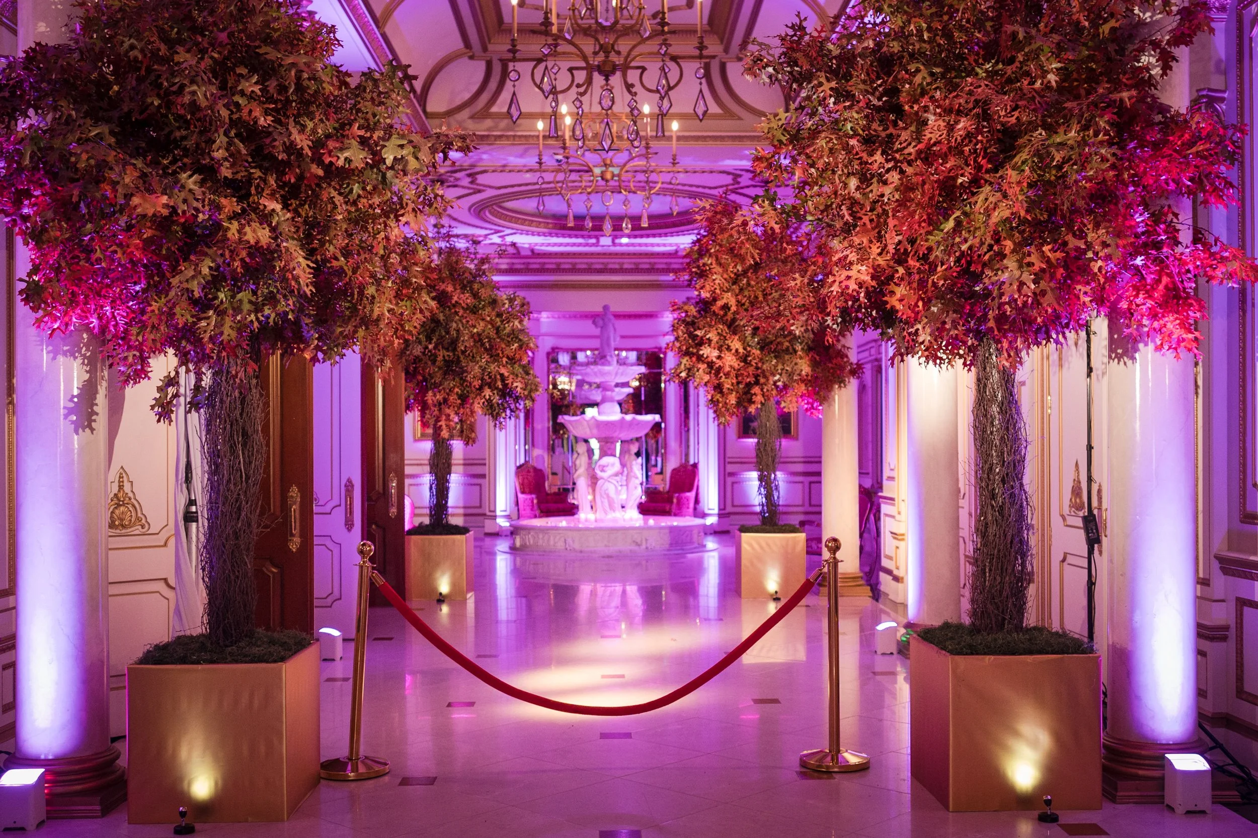 NLC Gala  0003.jpg