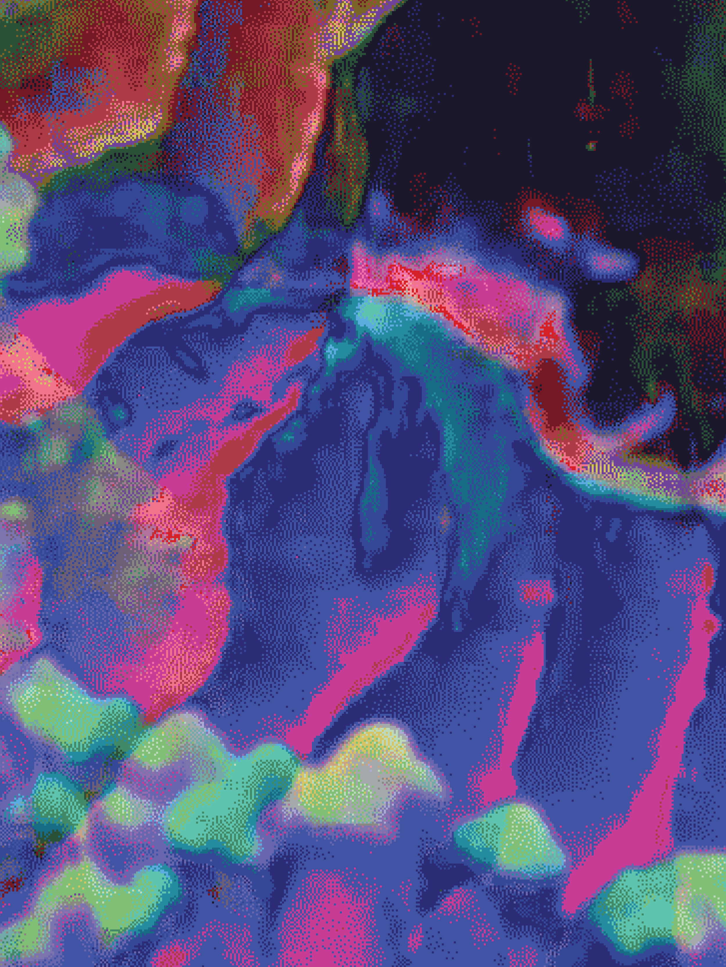 32x24x1.25in - coral 11.png