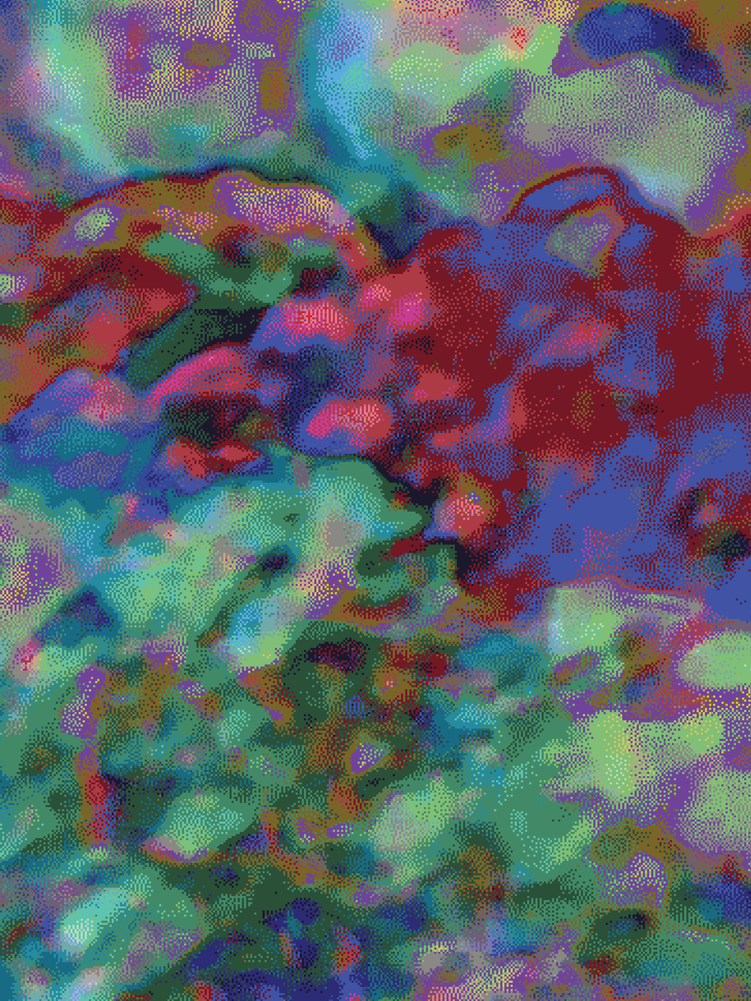 32x24x1.25in - coral 17.png