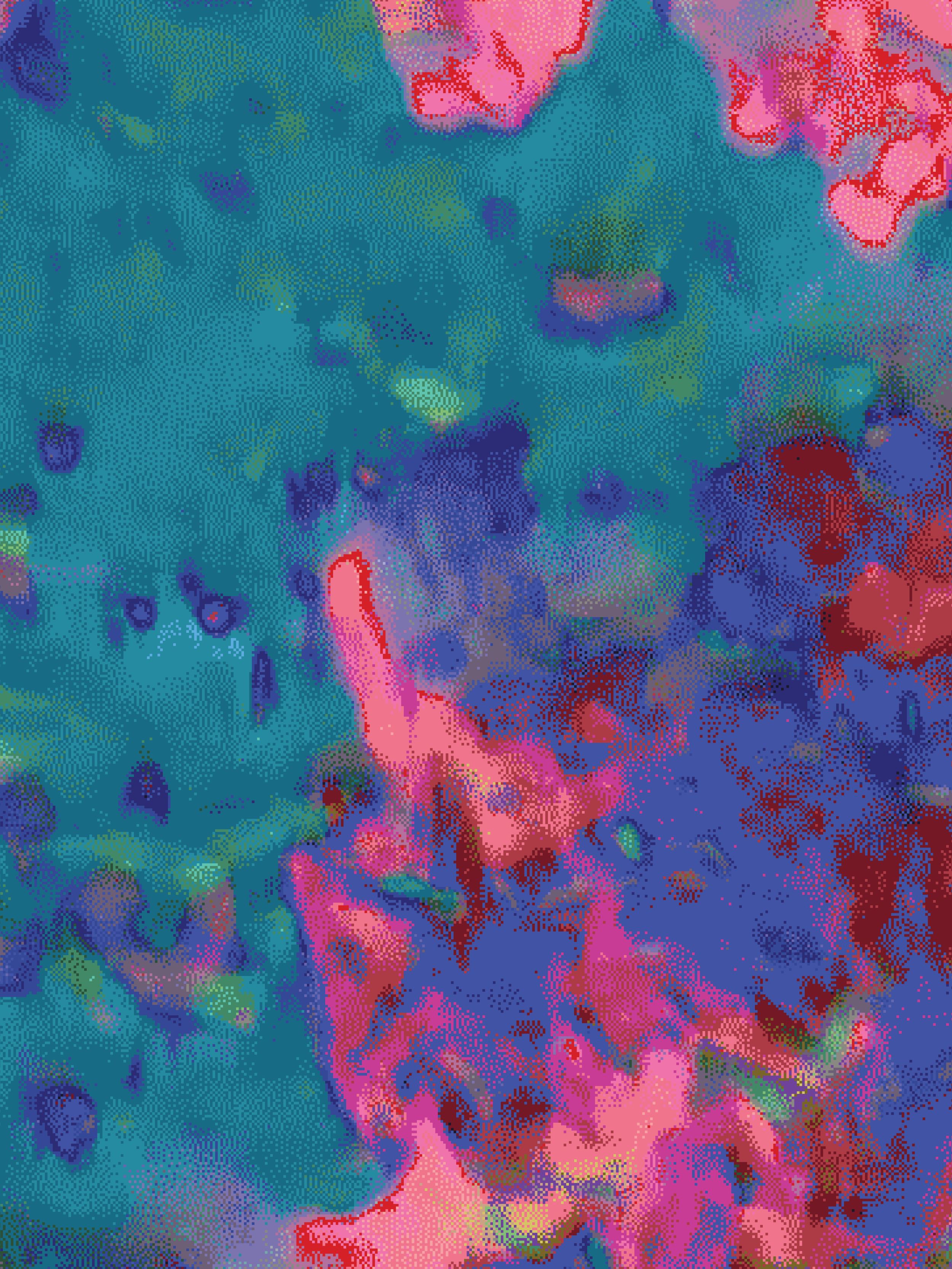 32x24x1.25in - coral 81.png