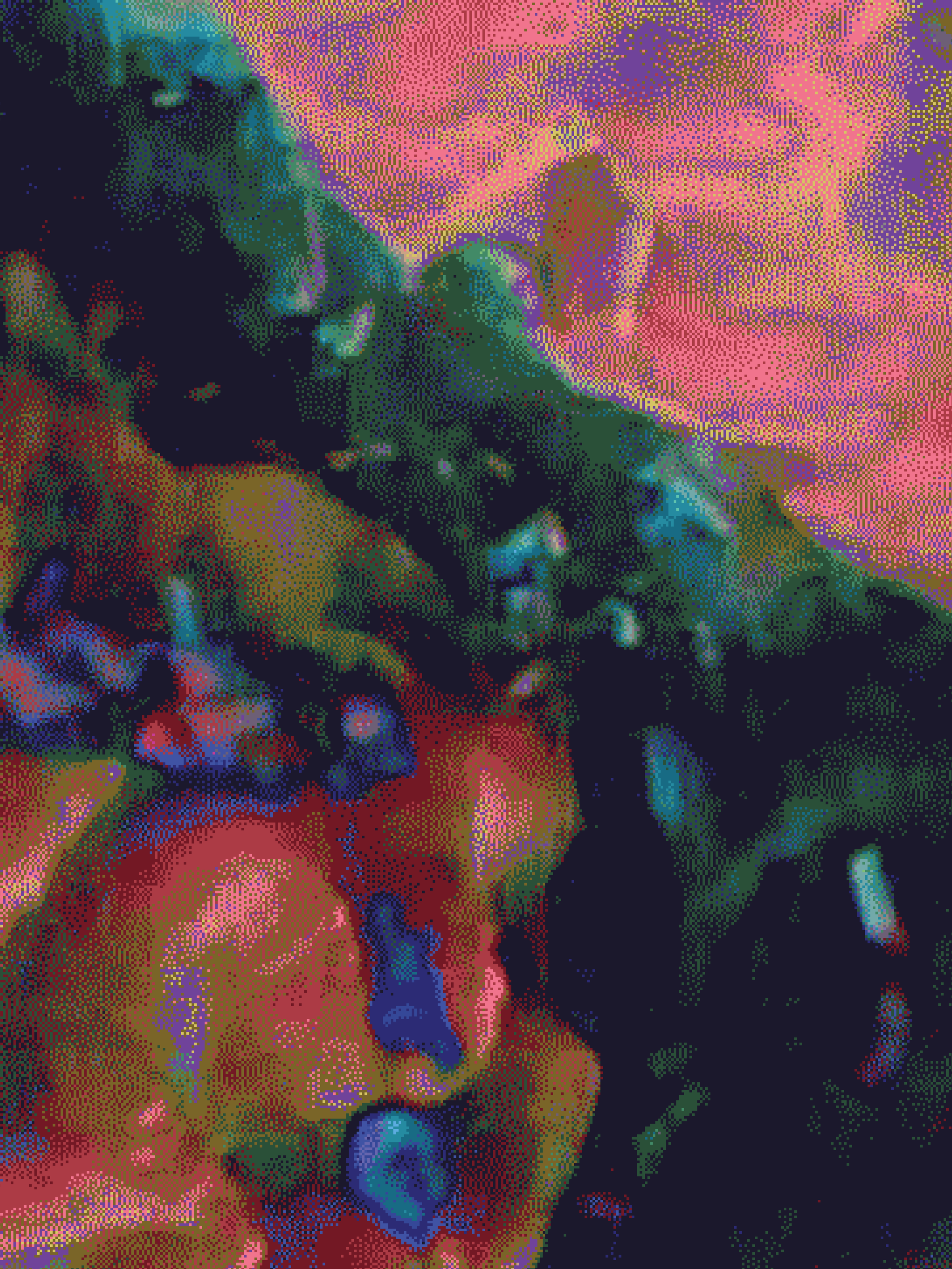 32x24x1.25in - coral 21.png